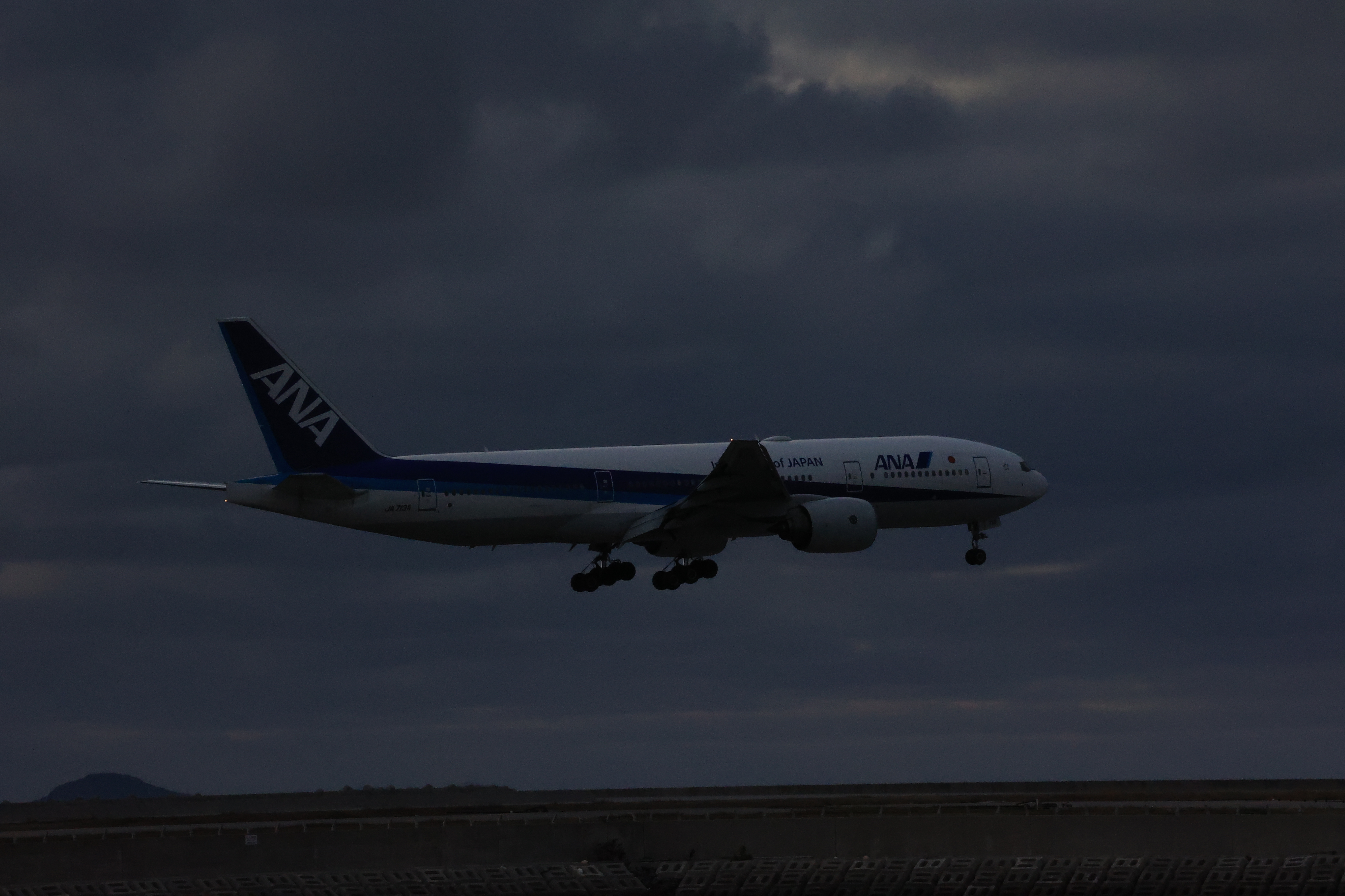 ANAの飛行機が着陸する１