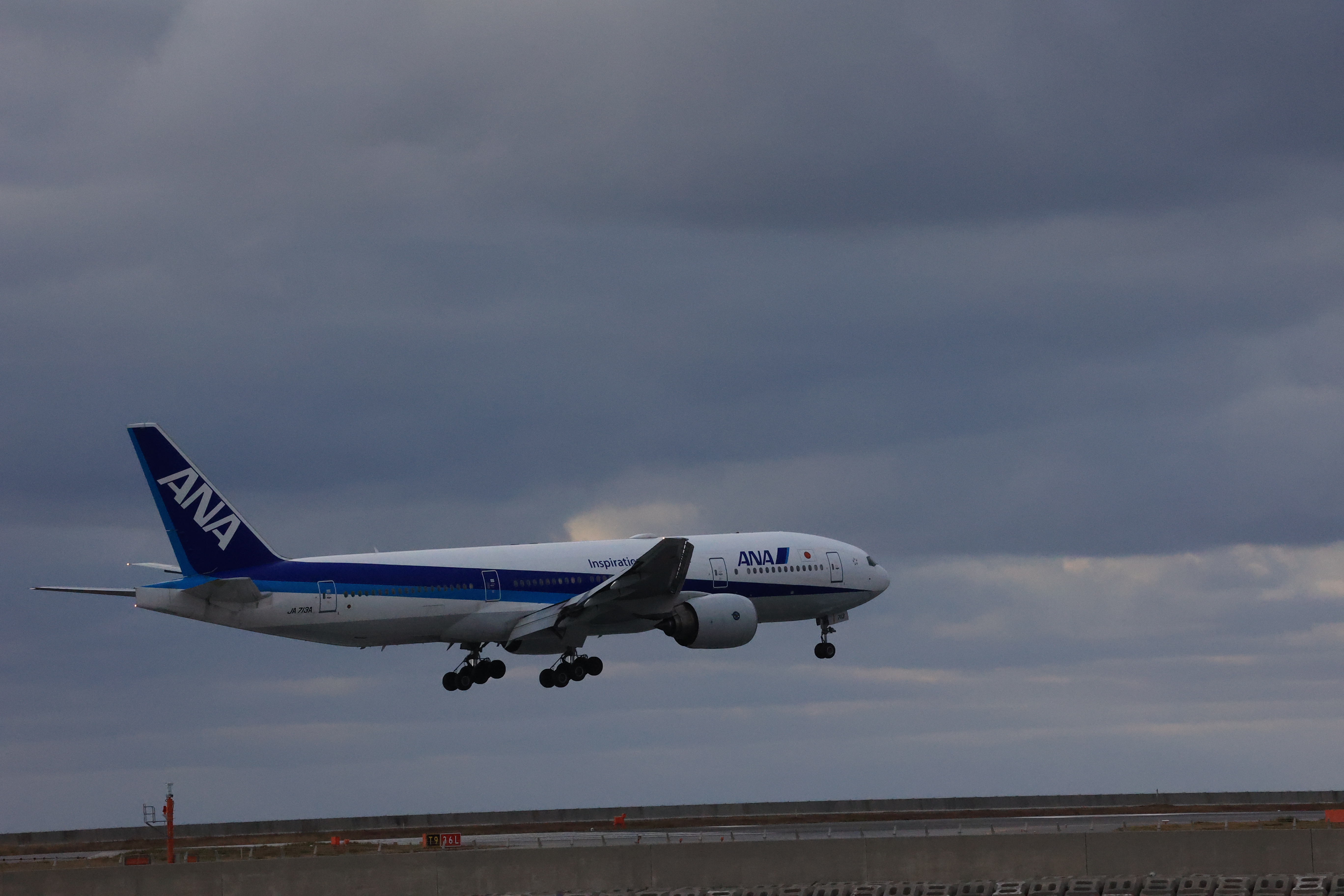 ANAの飛行機が着陸する２