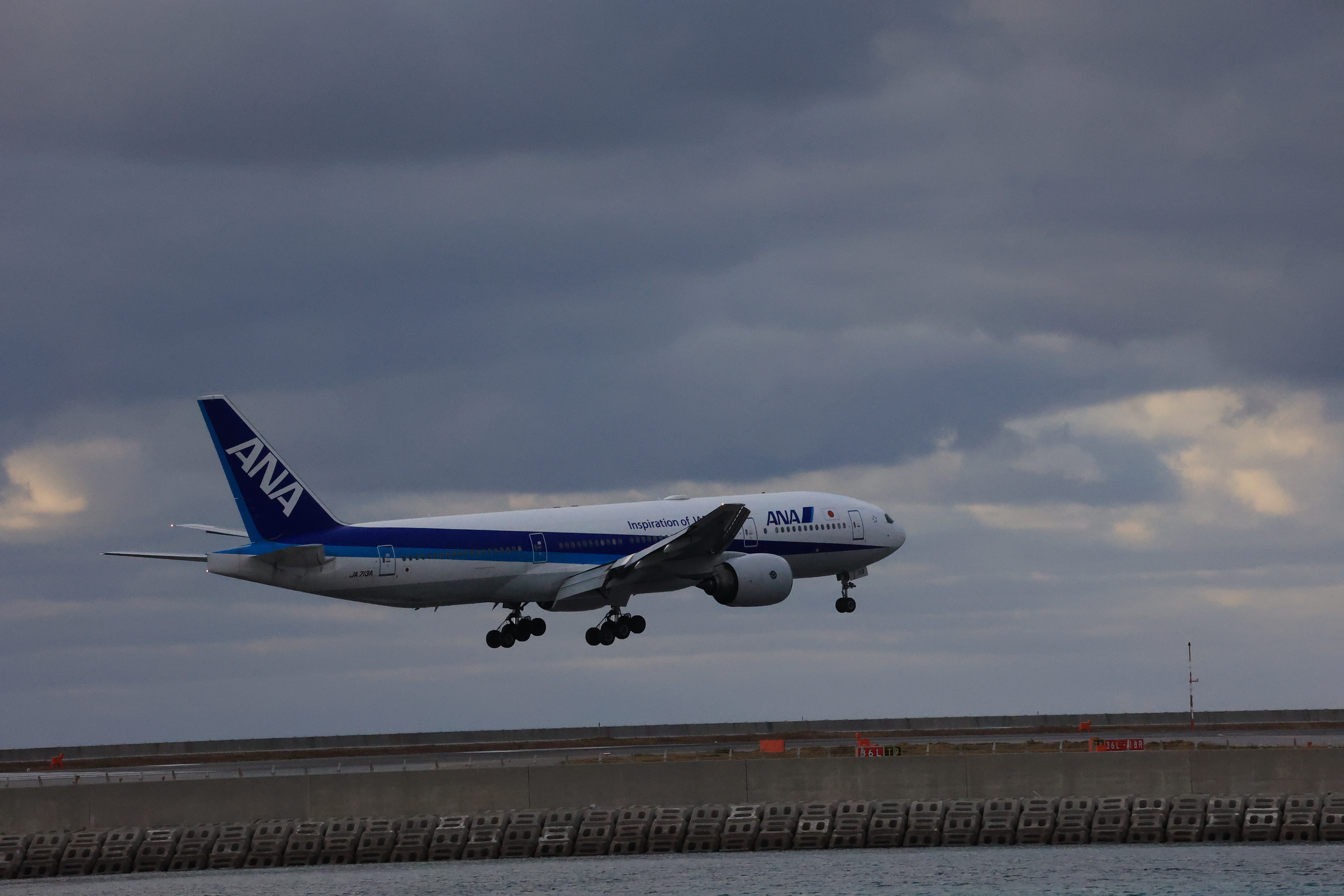 ANAの飛行機が着陸する３