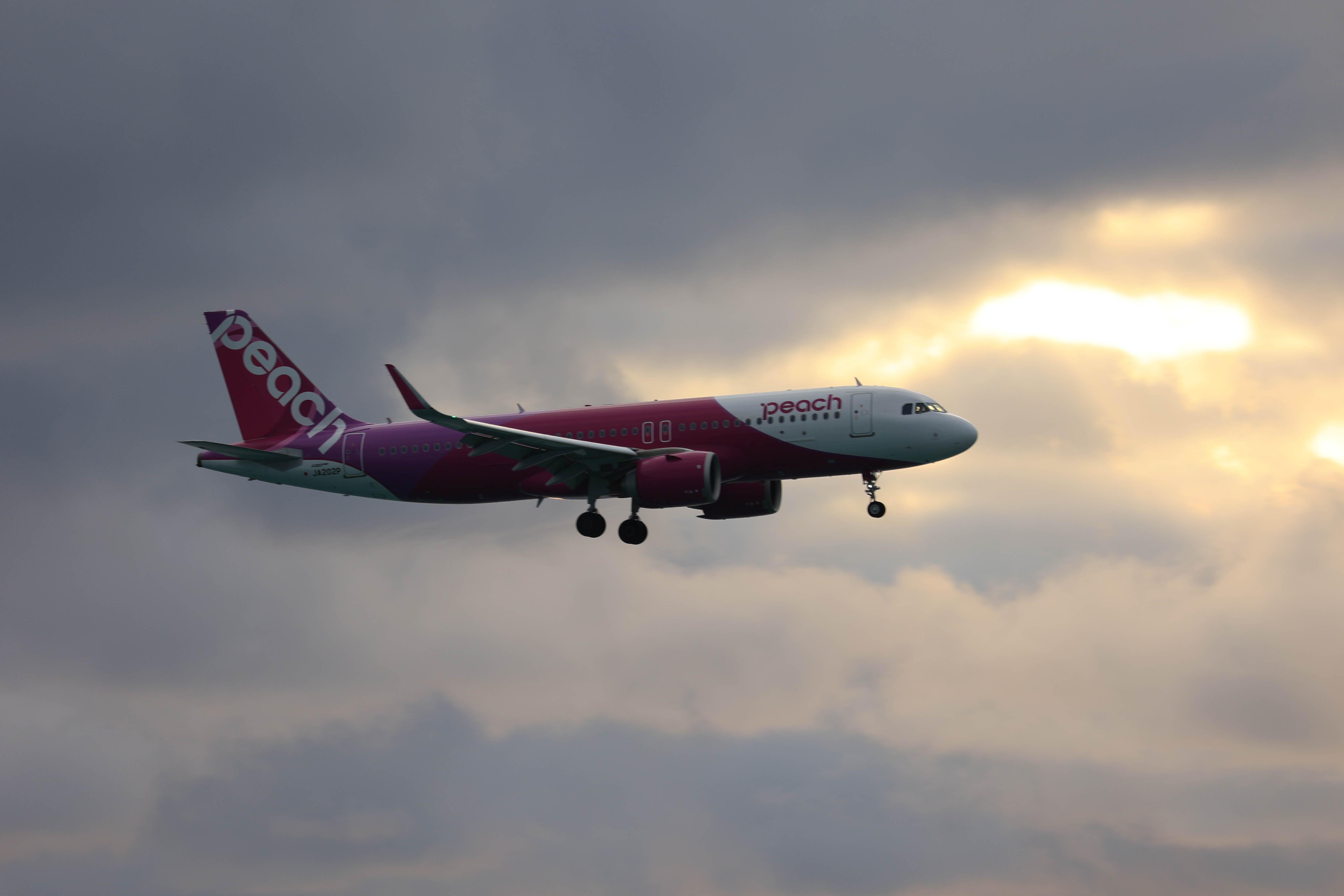 Peachの飛行機８