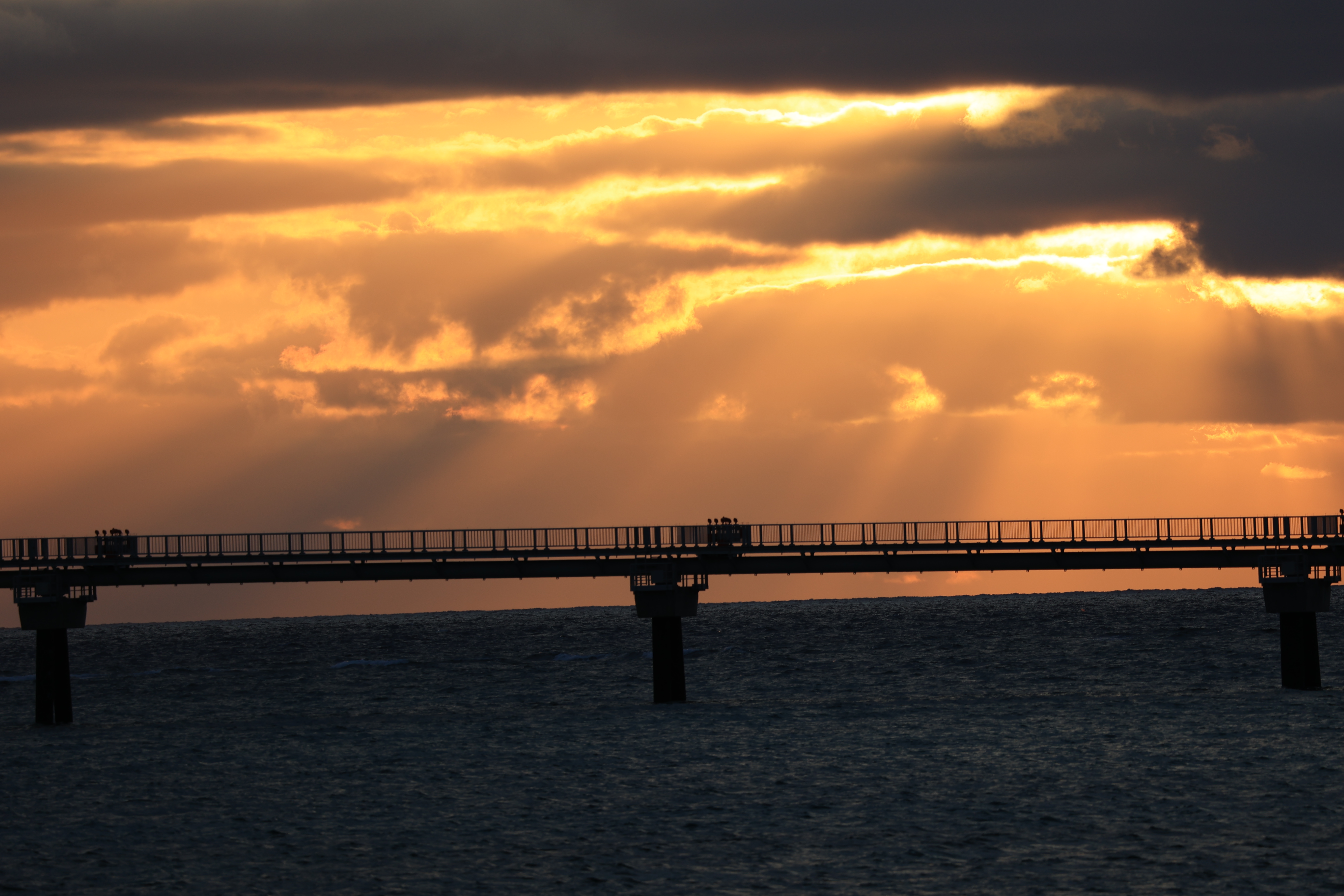 第二滑走路の誘導灯と夕日５
