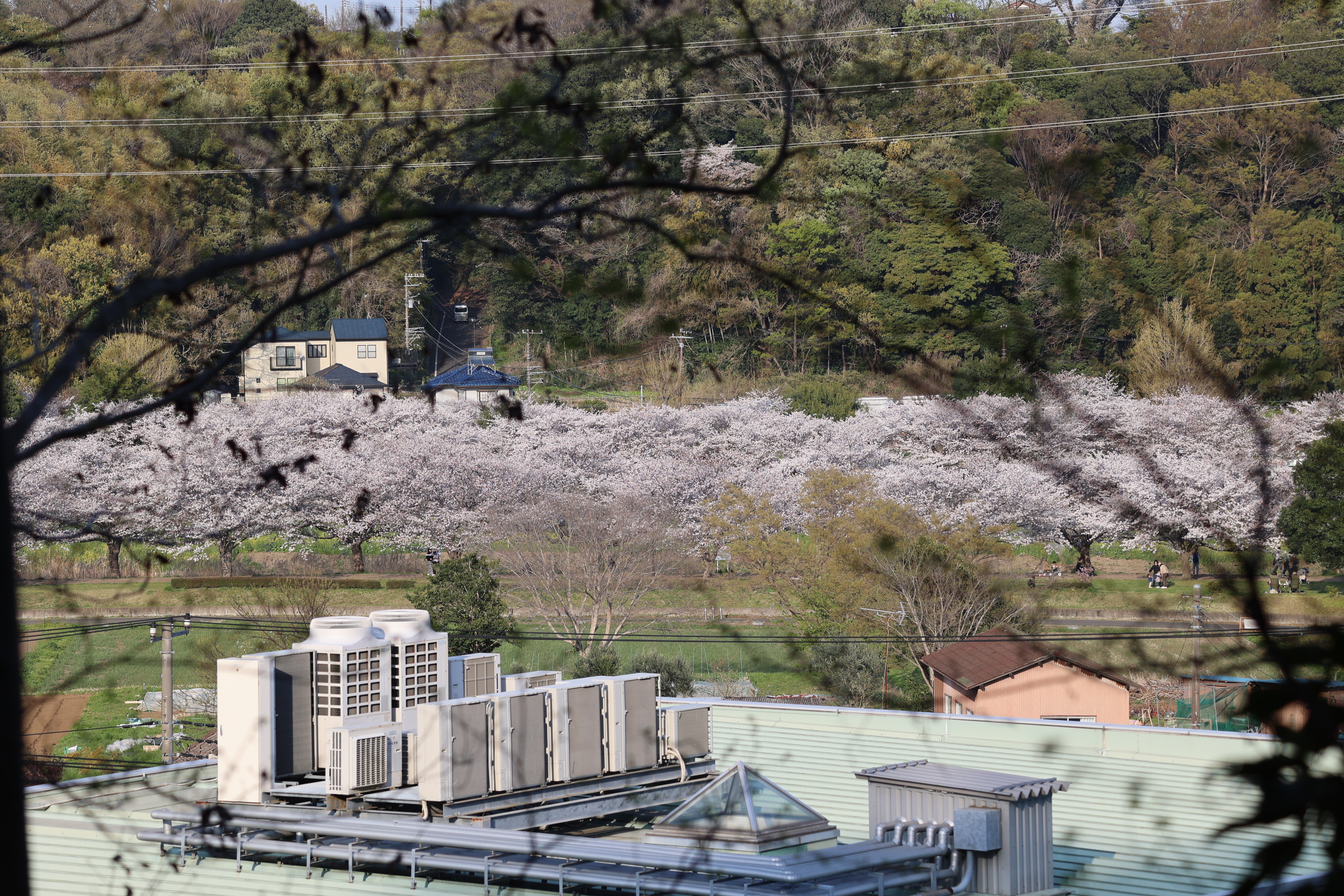 引地川親水公園を上から眺めた様子 引地川親水公園を上から眺めた様子