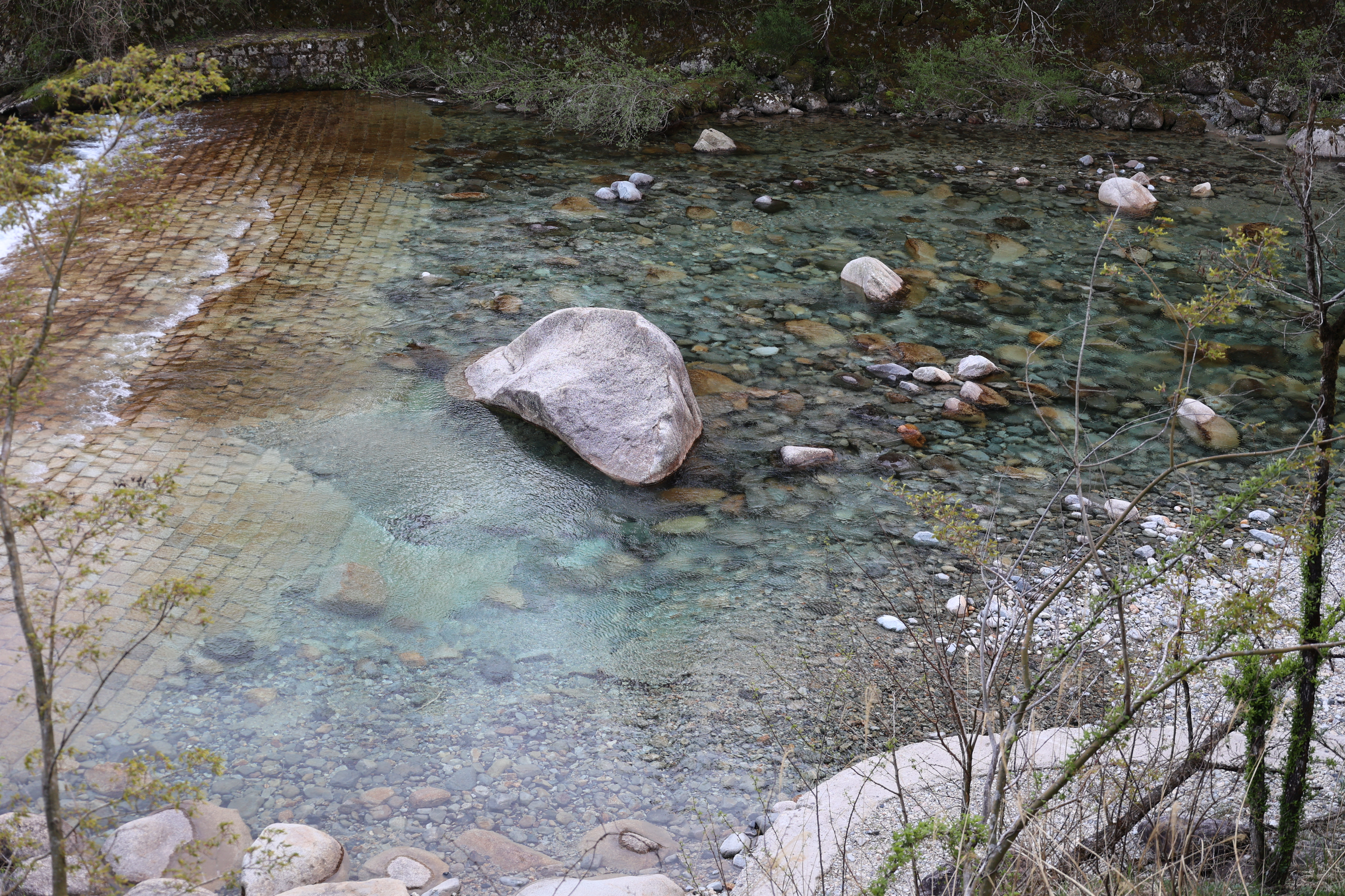 きれいな川辺 きれいな川辺