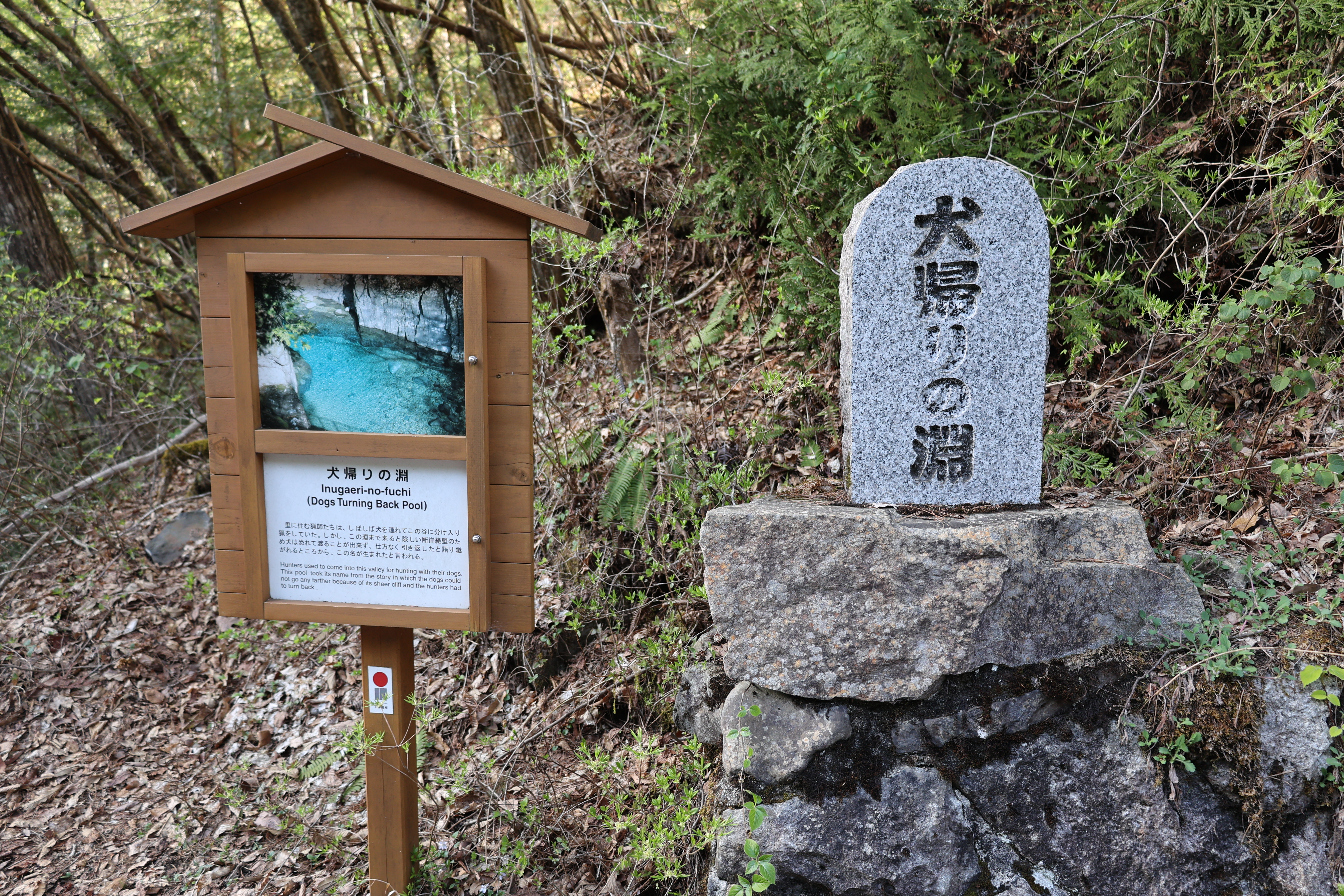 犬帰りの淵の看板 犬帰りの淵の看板