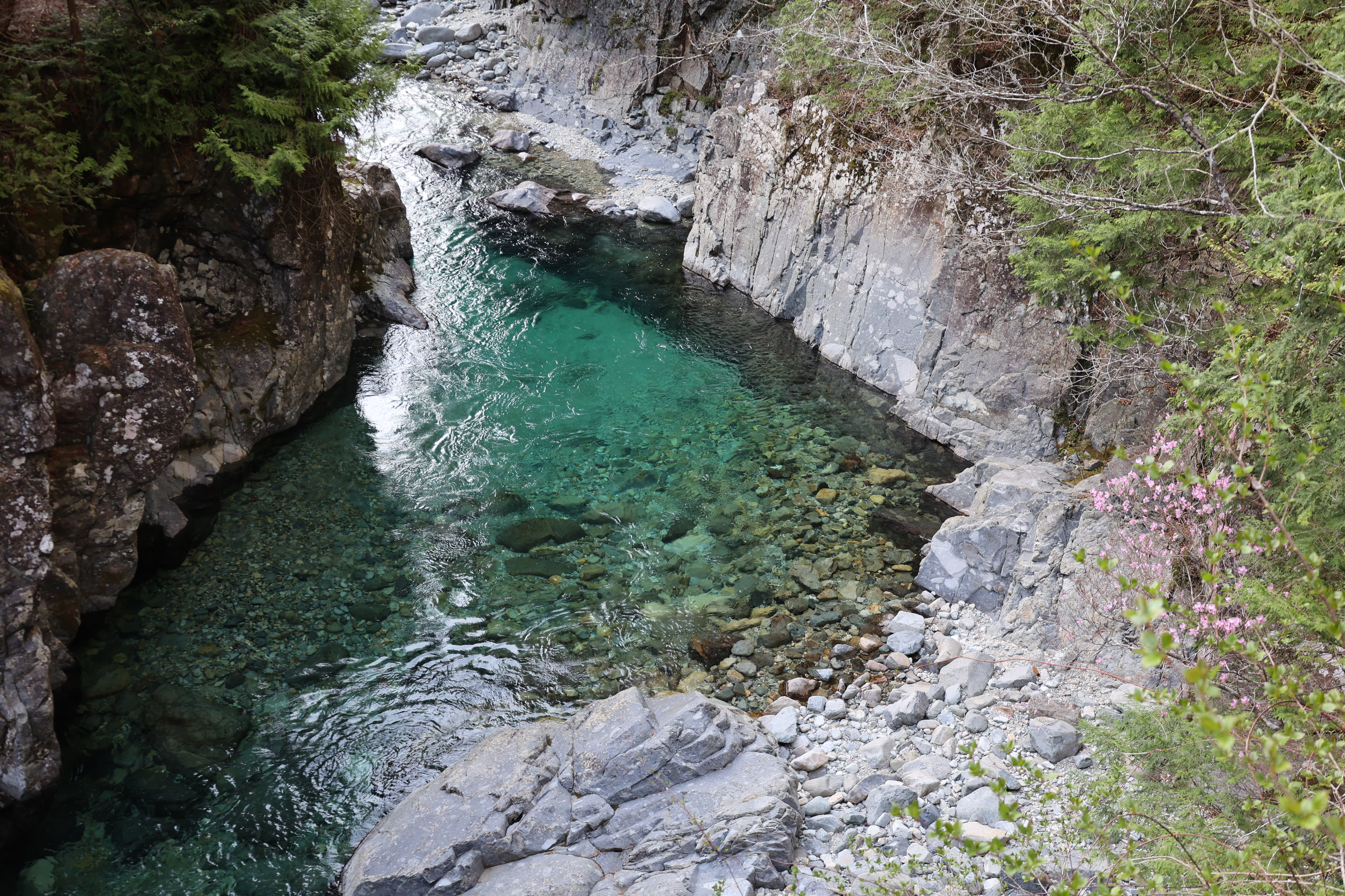 阿寺渓谷をお散歩
