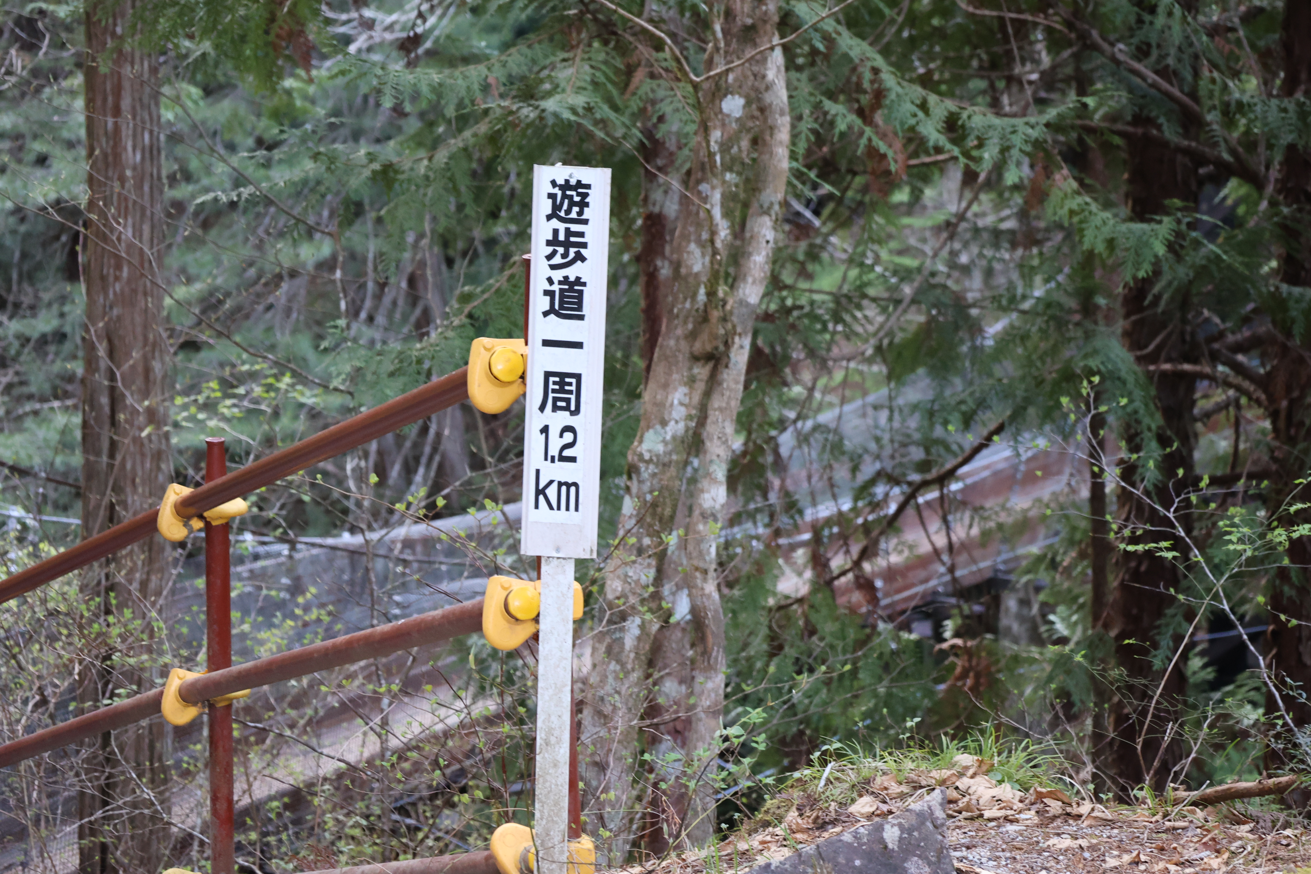 遊歩道1周1.2km 遊歩道1周1.2km