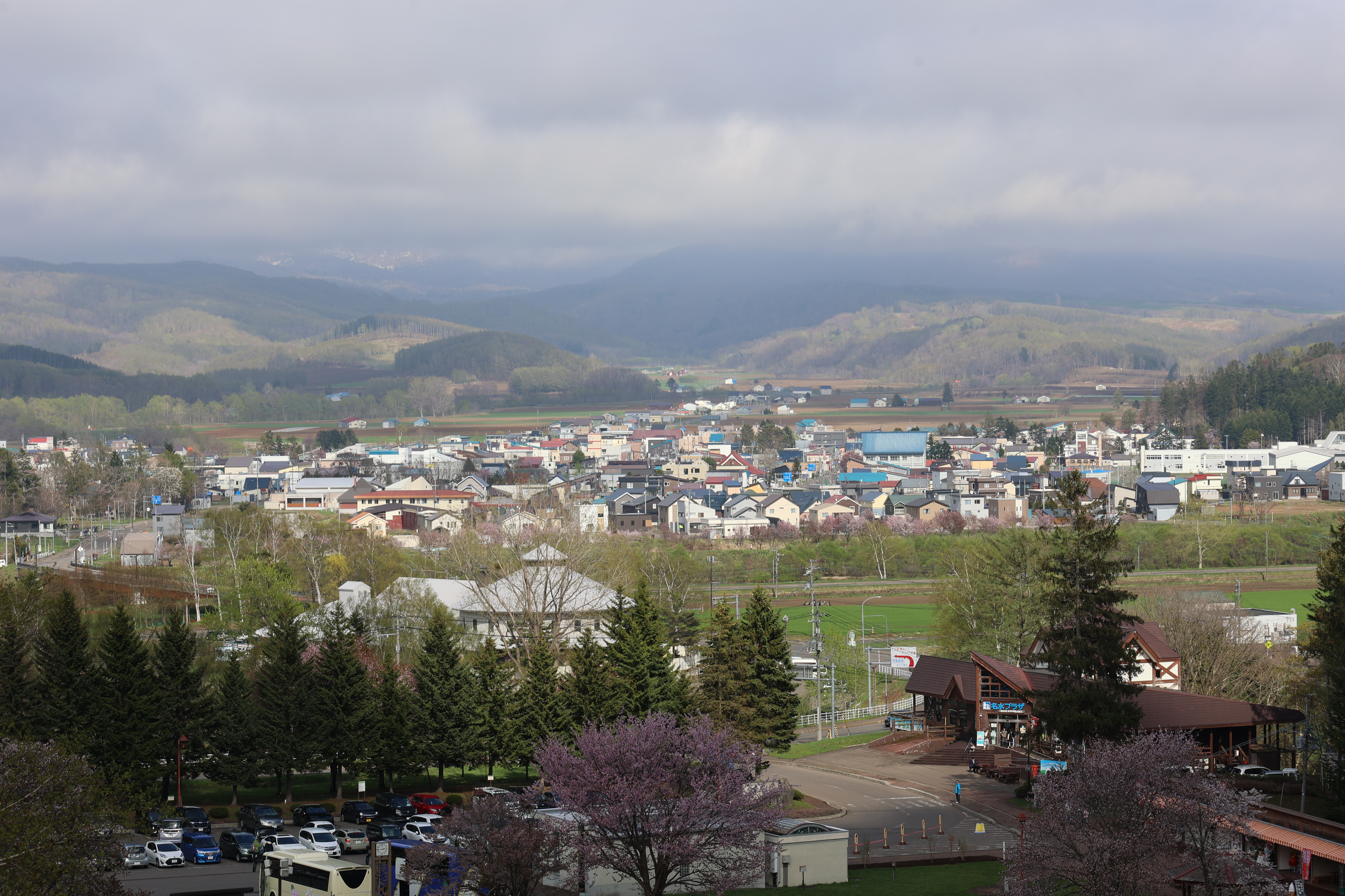 高台から見た京極町２
