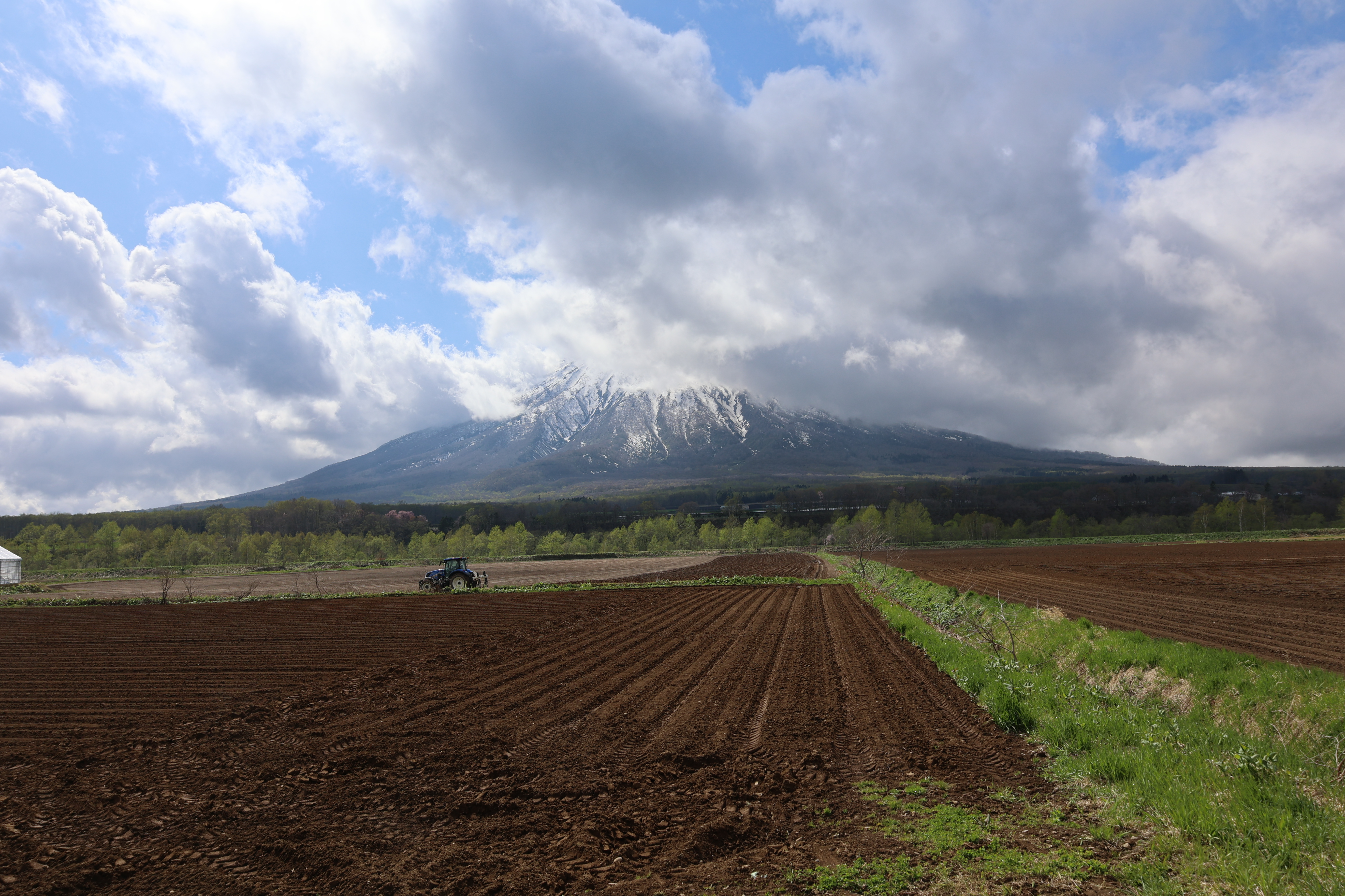 羊蹄山と農場