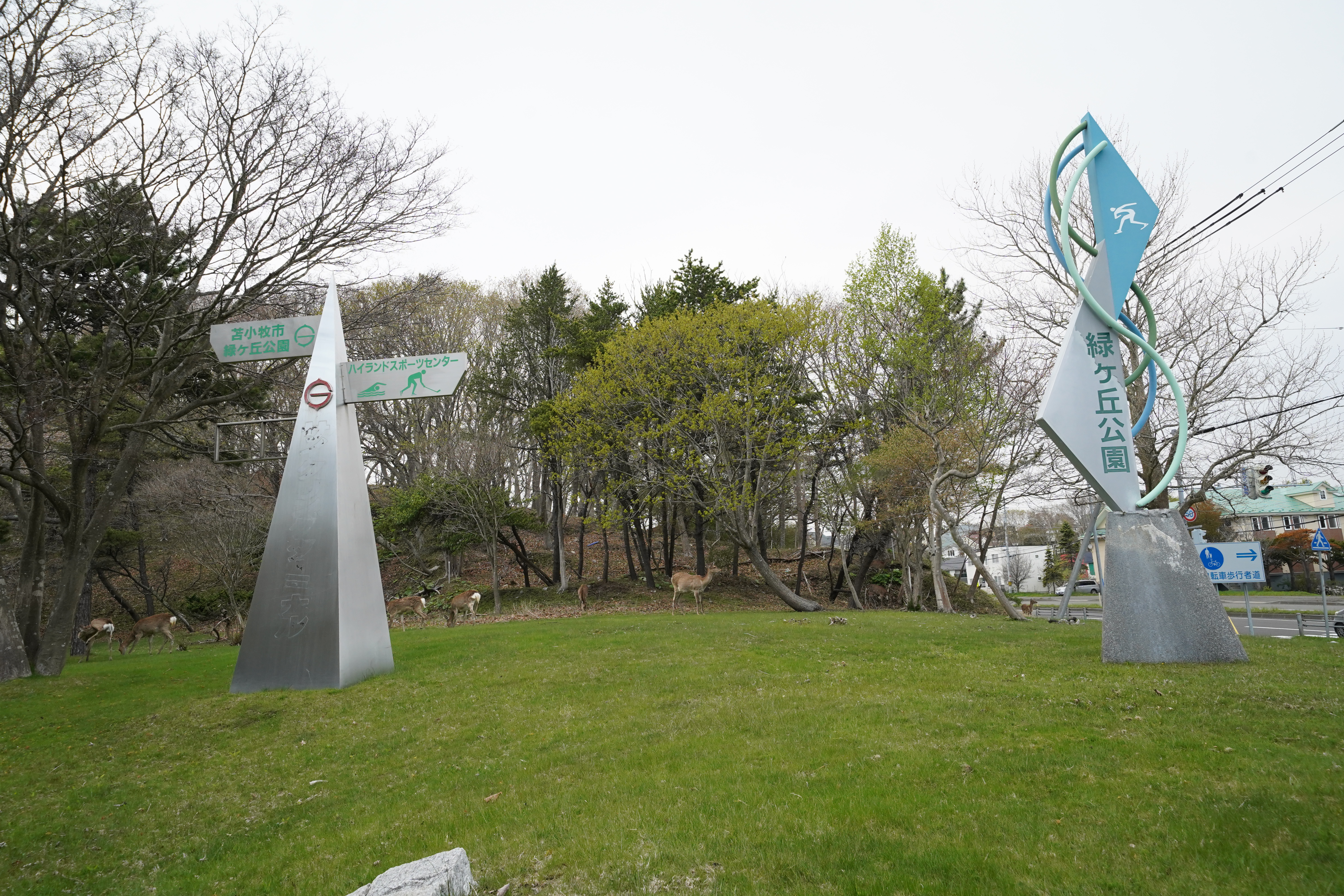 緑ヶ丘公園の看板と鹿達