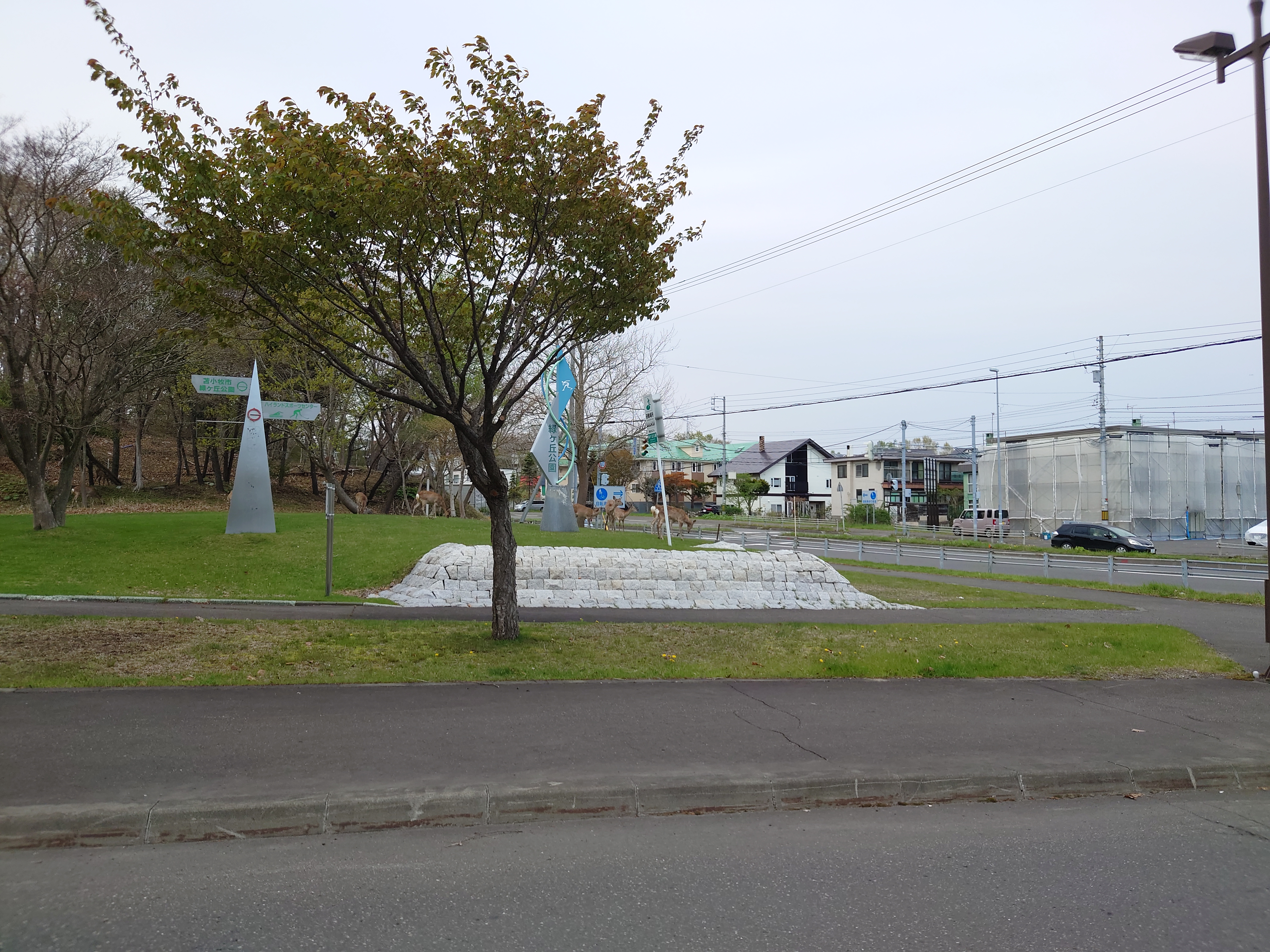 車道から見た芝生地帯