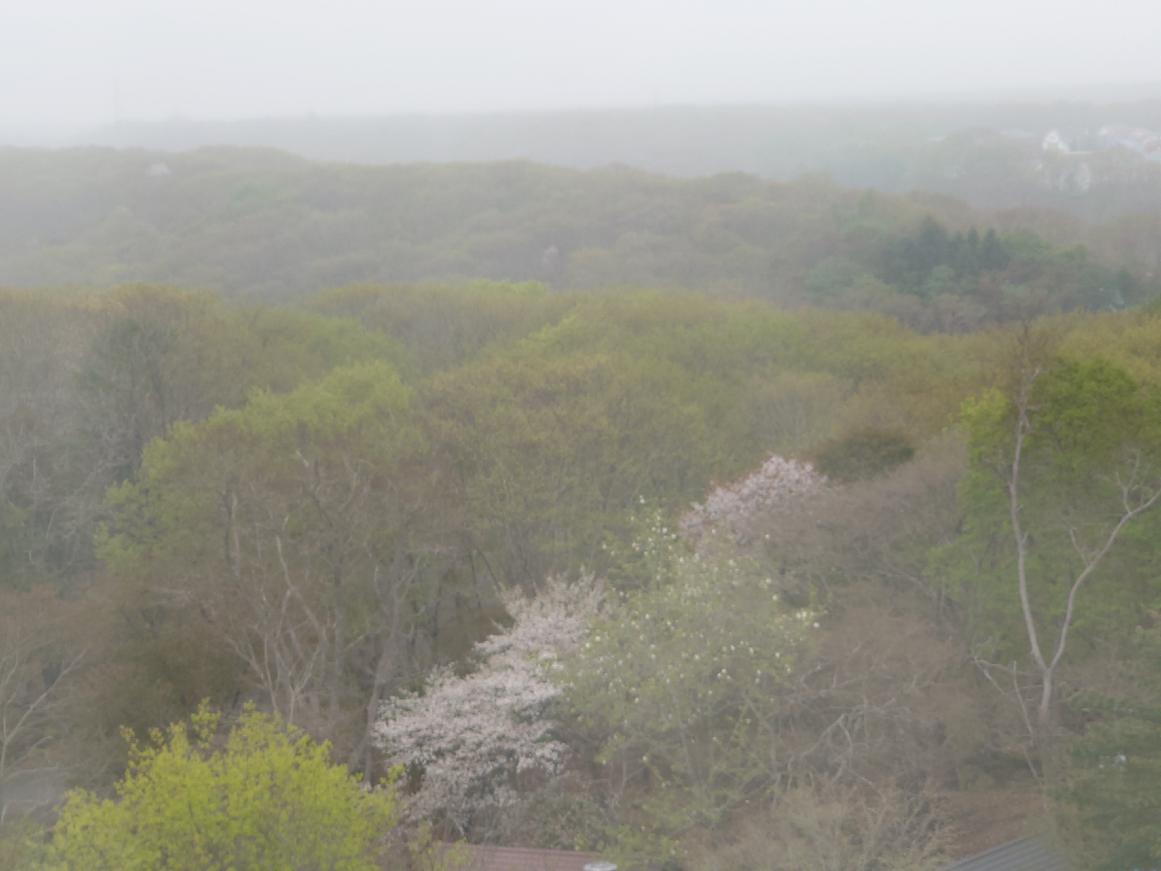 展望台からの景色８