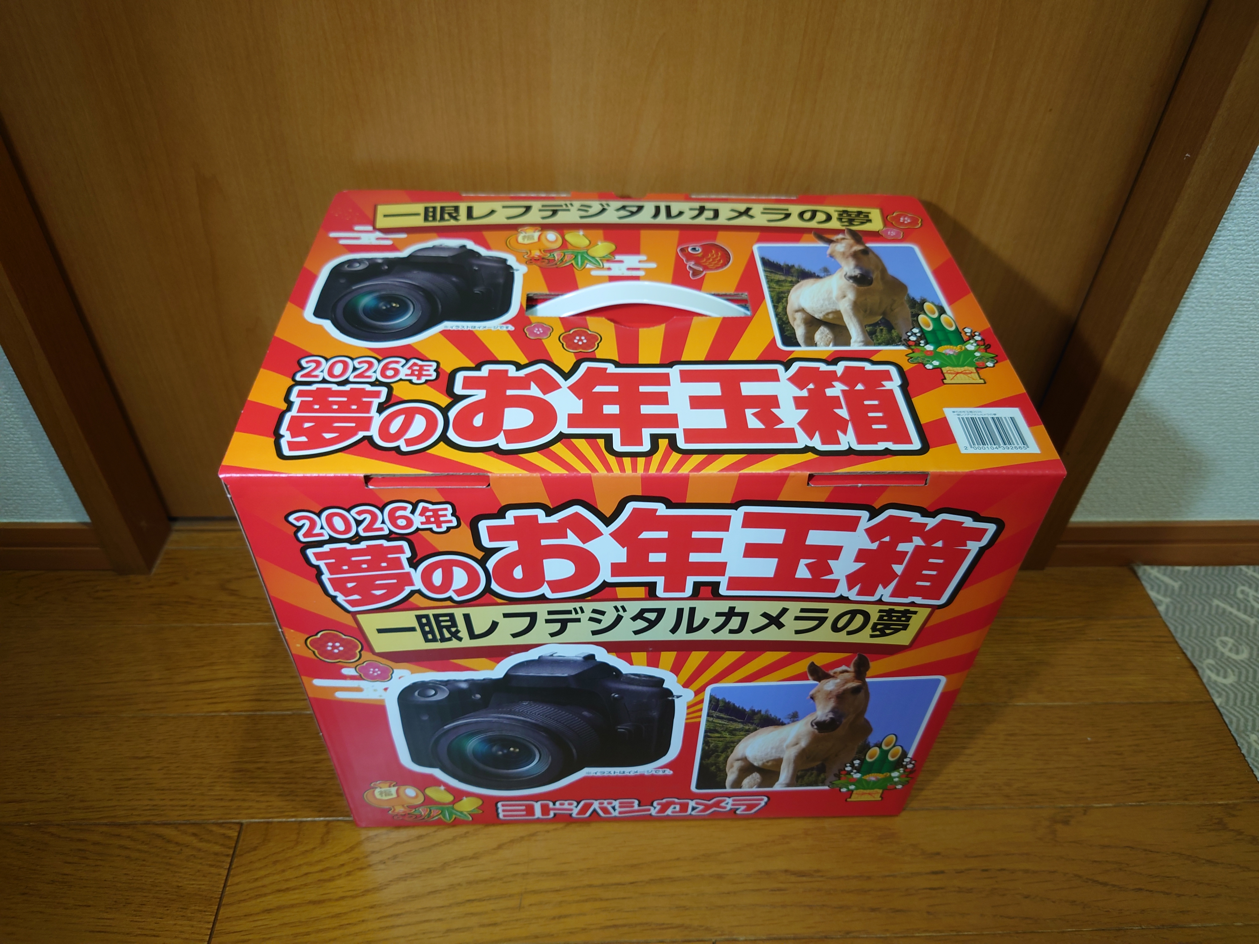 夢のお年玉箱2026一眼レフデジタルカメラの夢１