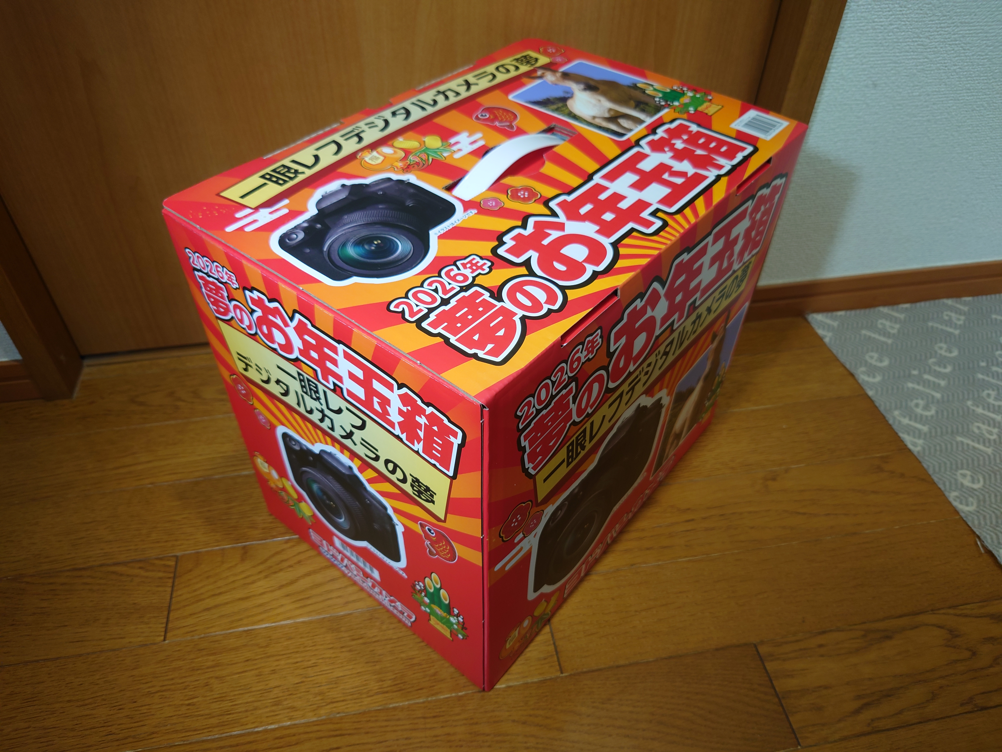 夢のお年玉箱2026一眼レフデジタルカメラの夢３