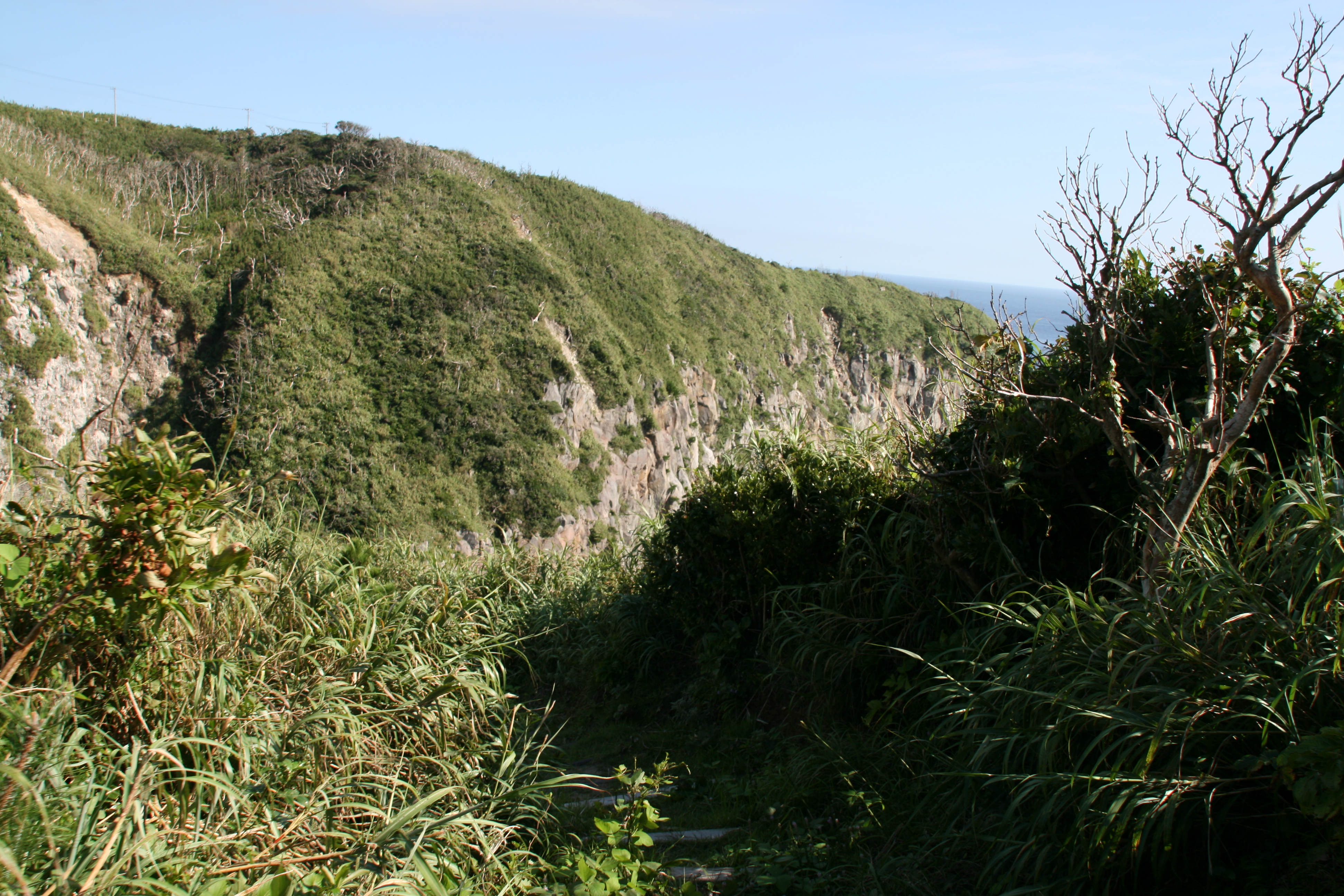 遊歩道を進む 遊歩道を進む