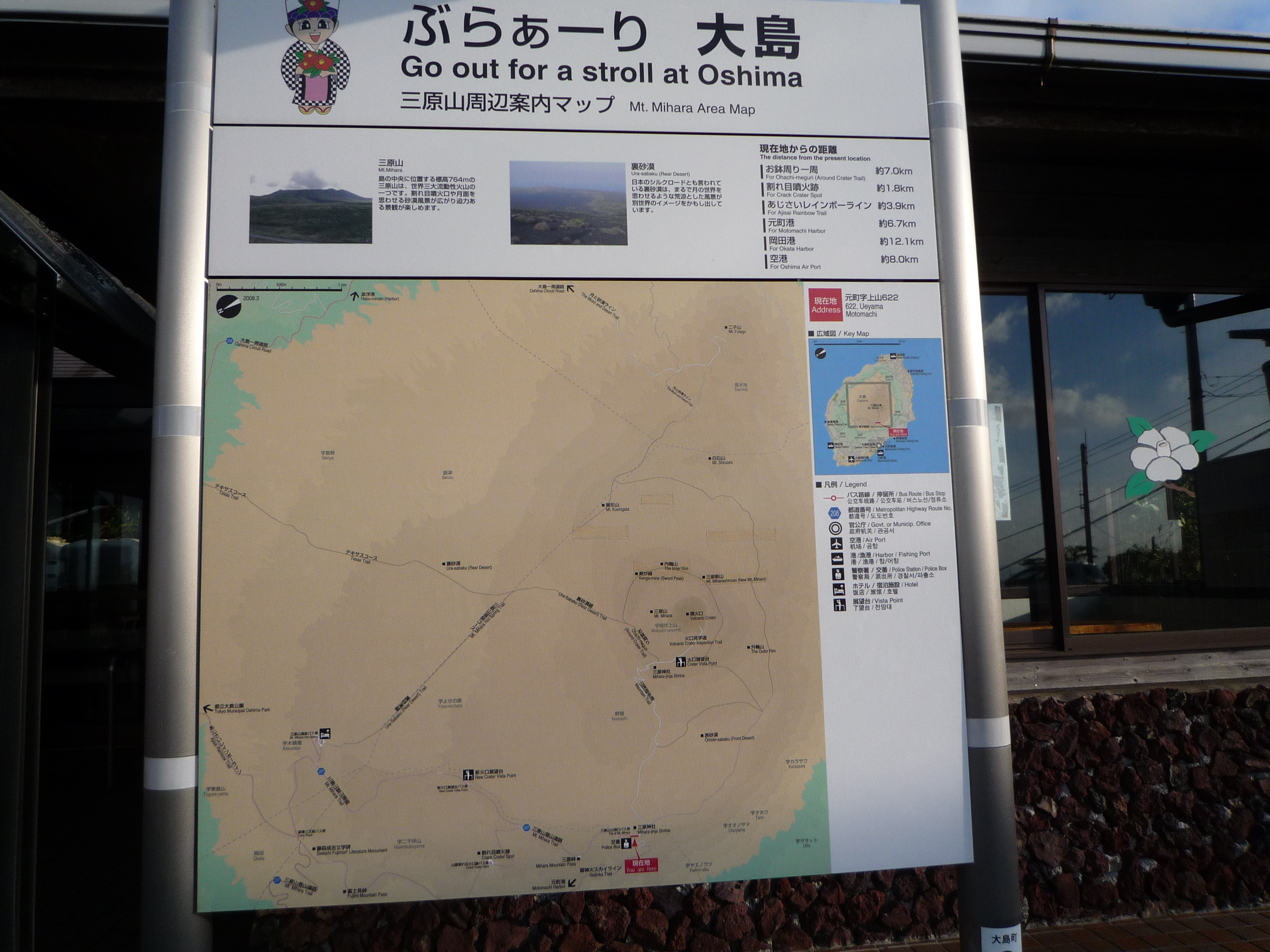 大島観光マップ 大島観光マップ