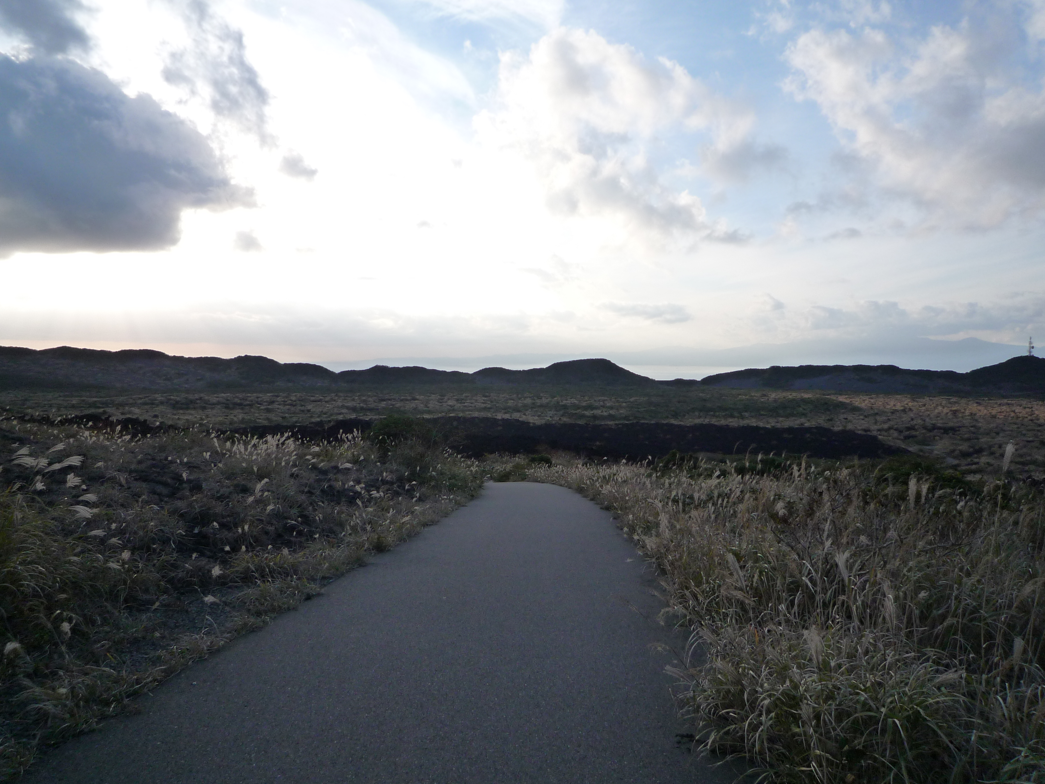 アスファルトの遊歩道 アスファルトの遊歩道