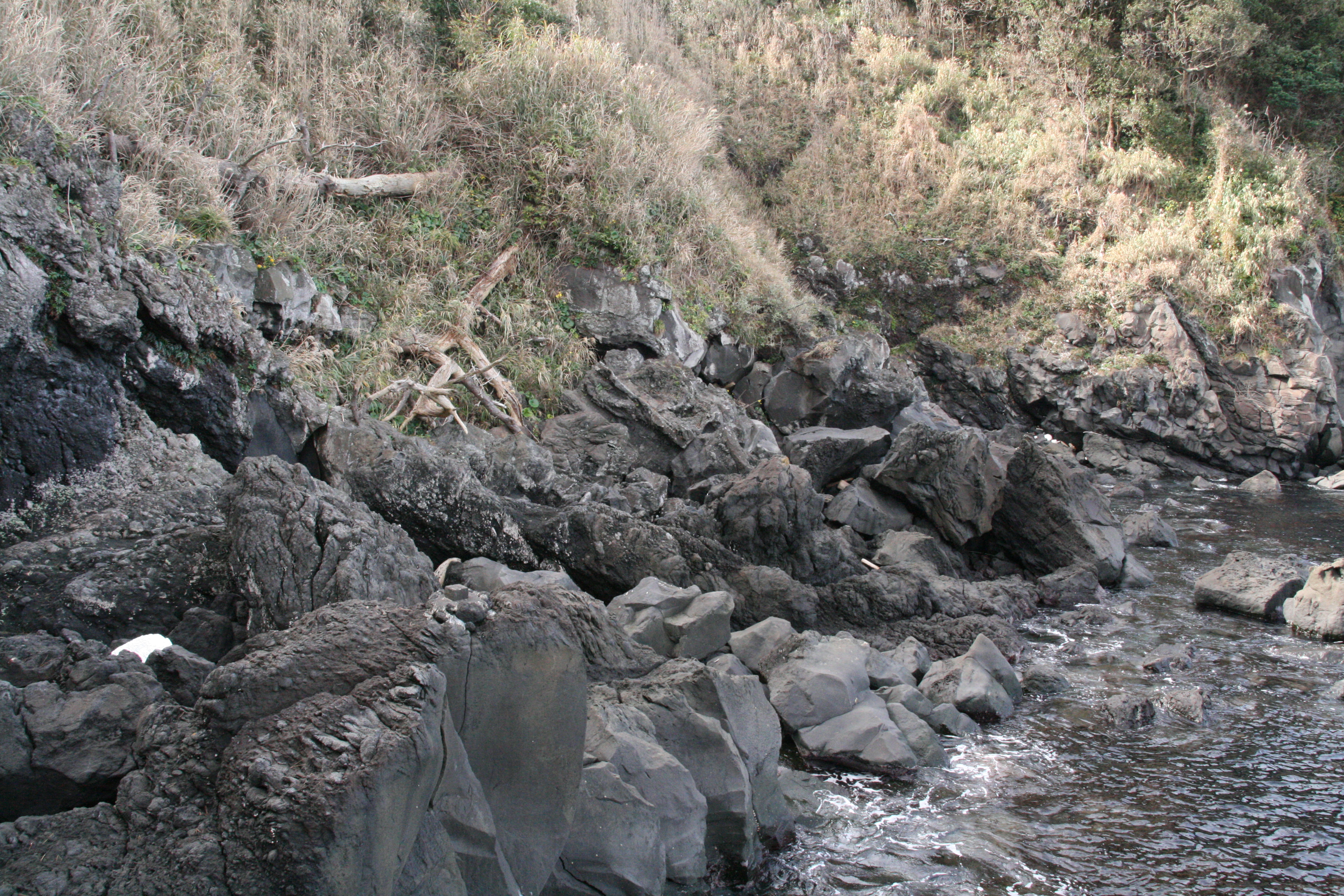 大きな岩場 大きな岩場