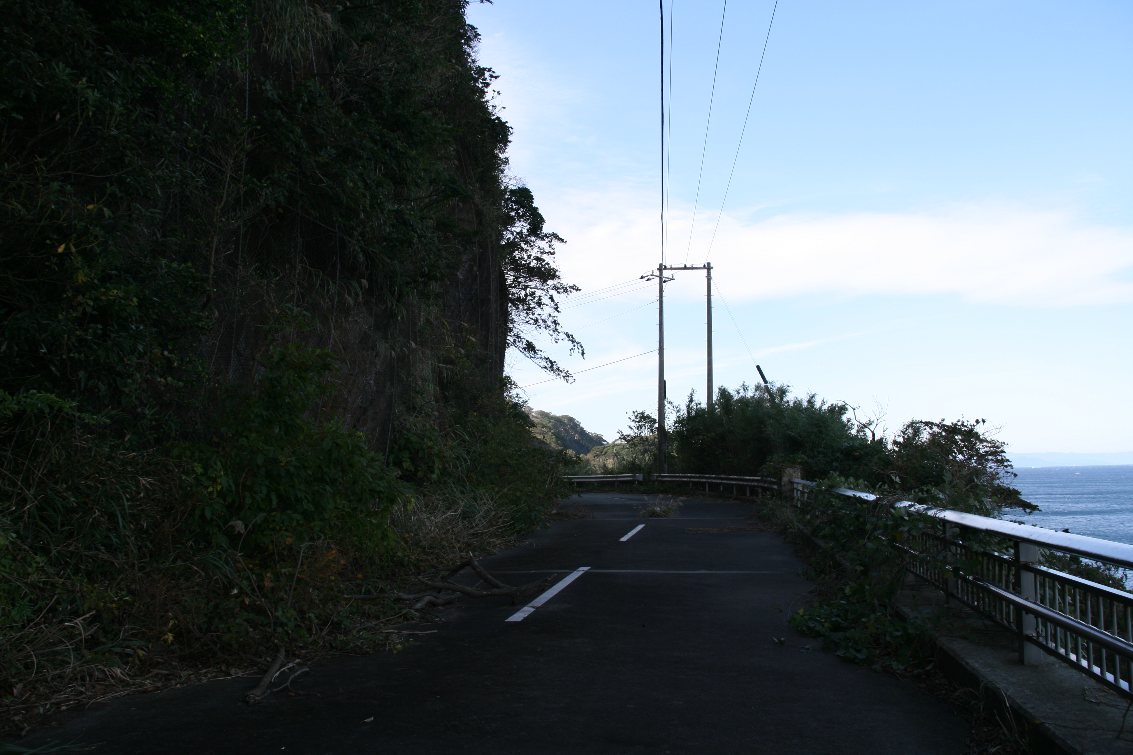 大島一周道路 大島一周道路