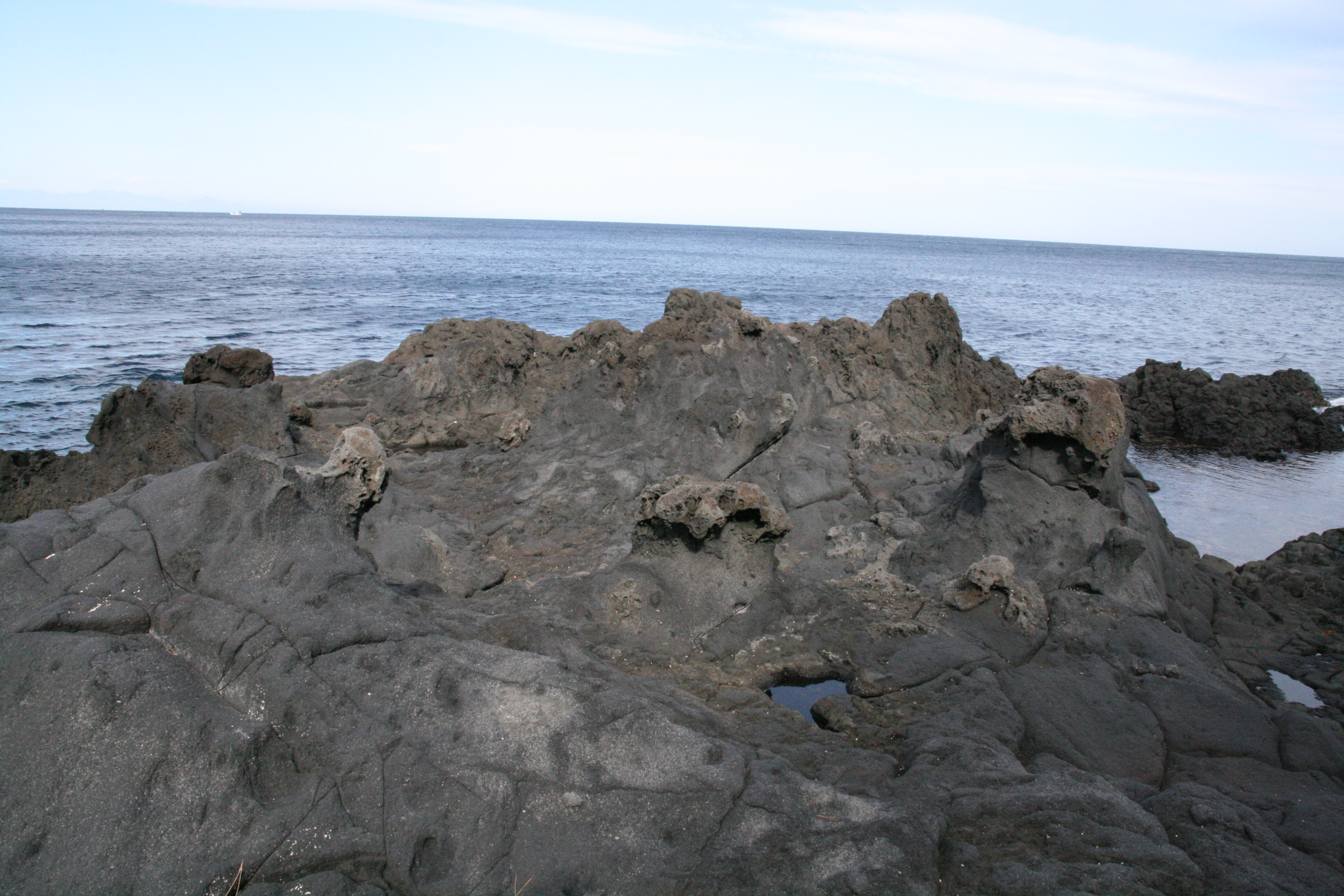 降りれた海岸線 降りれた海岸線