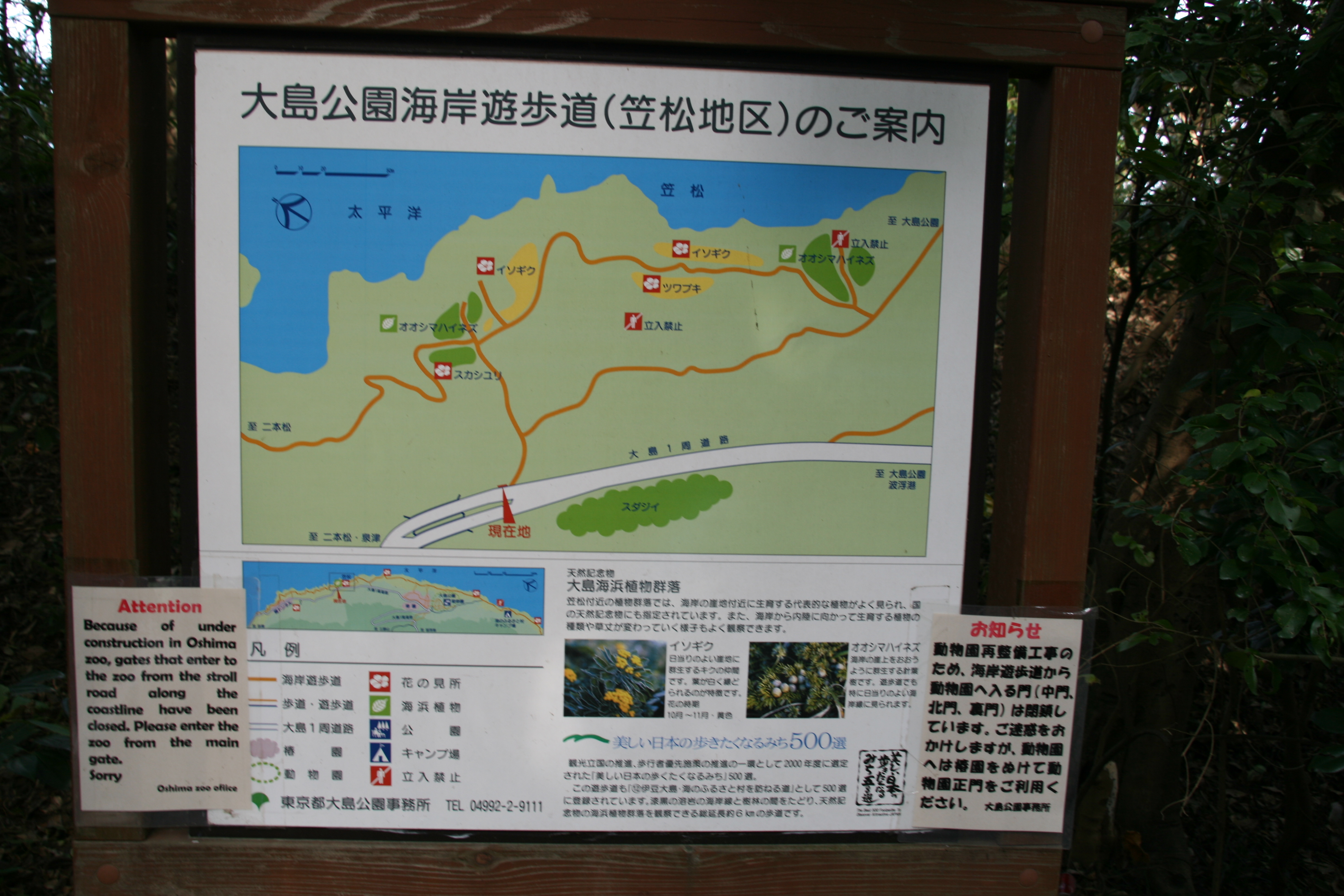 大島公園海岸遊歩道の看板 大島公園海岸遊歩道の看板