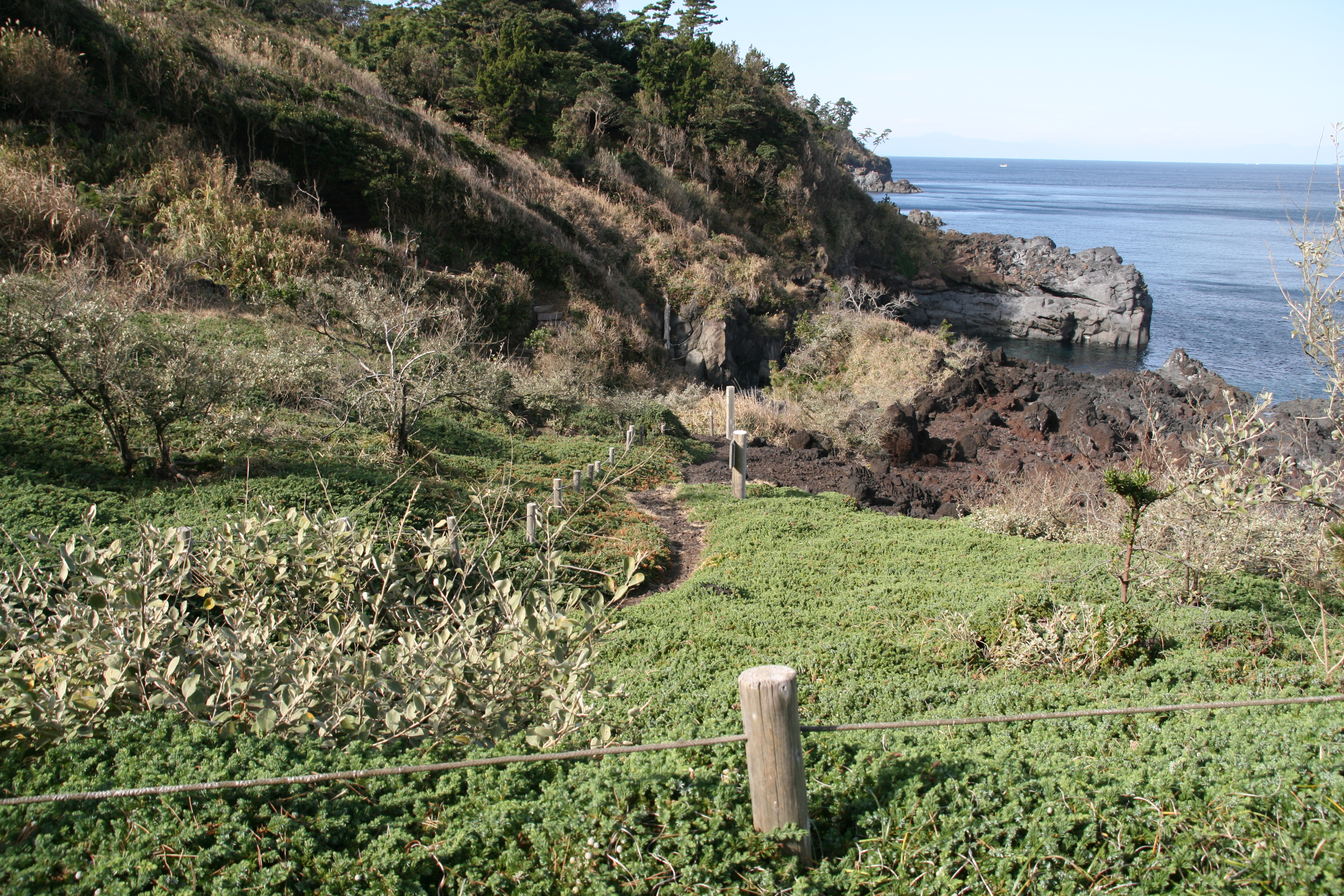 遊歩道を進む 遊歩道を進む