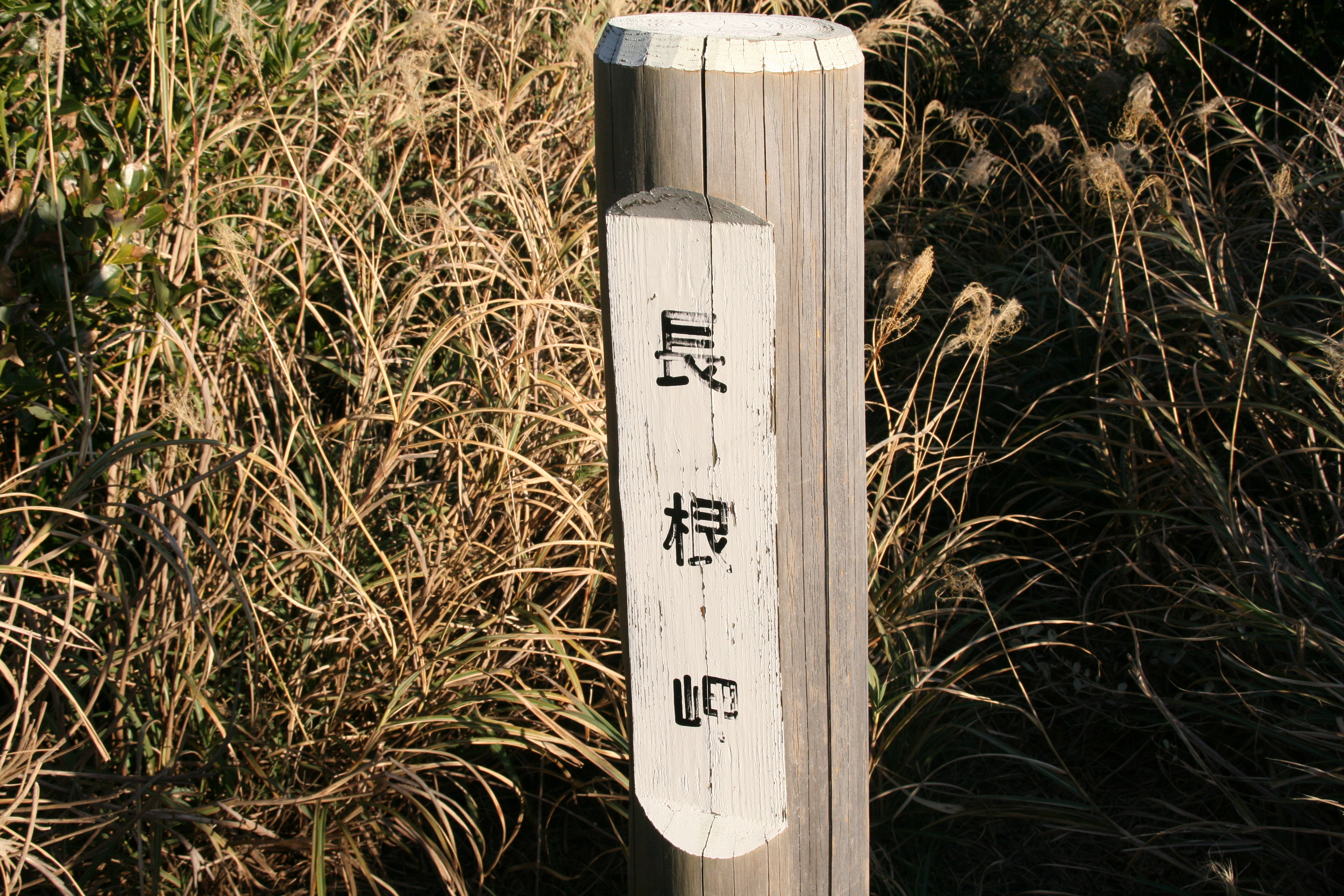 長根岬 長根岬