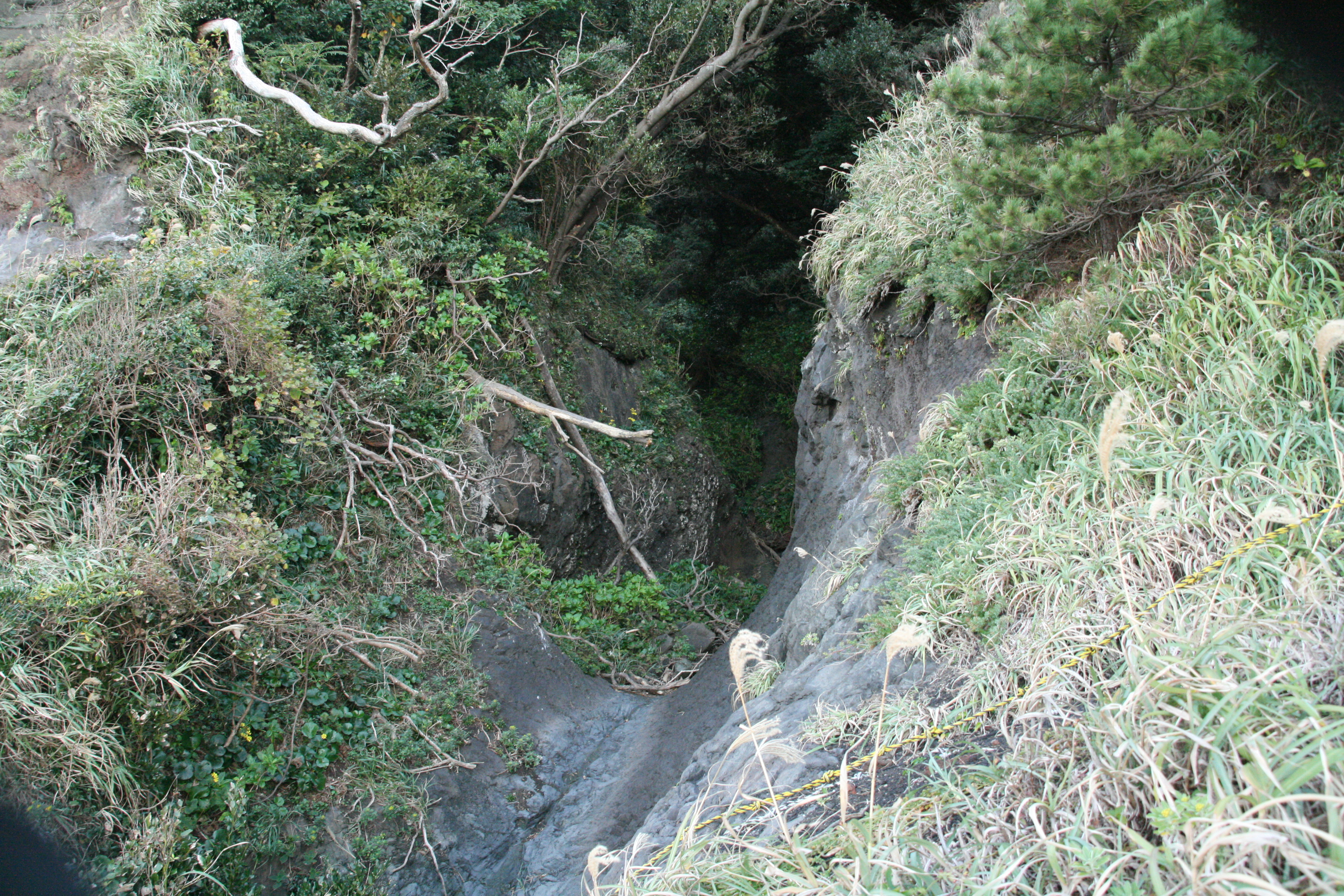 道なき道を進む１