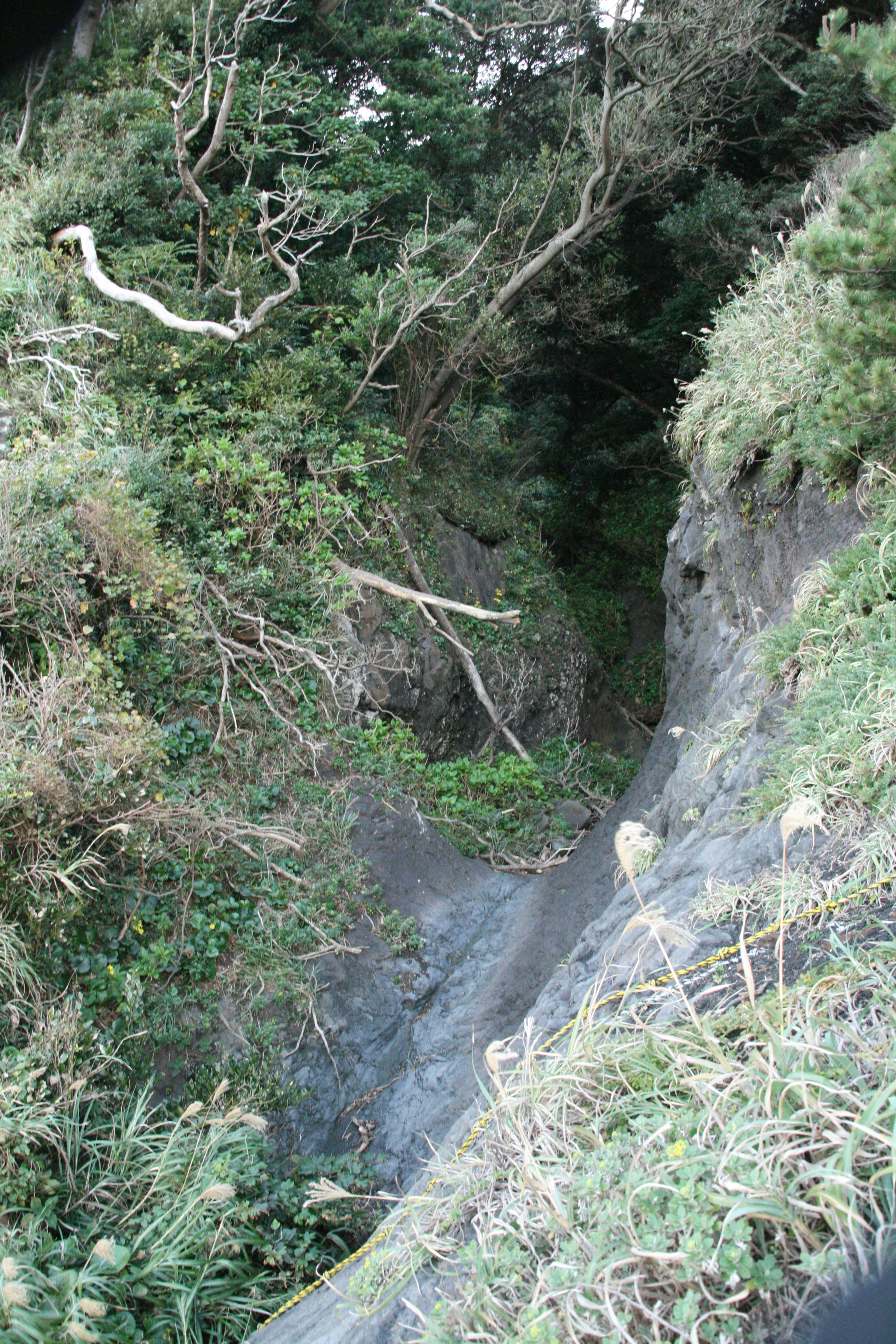 道なき道を進む２