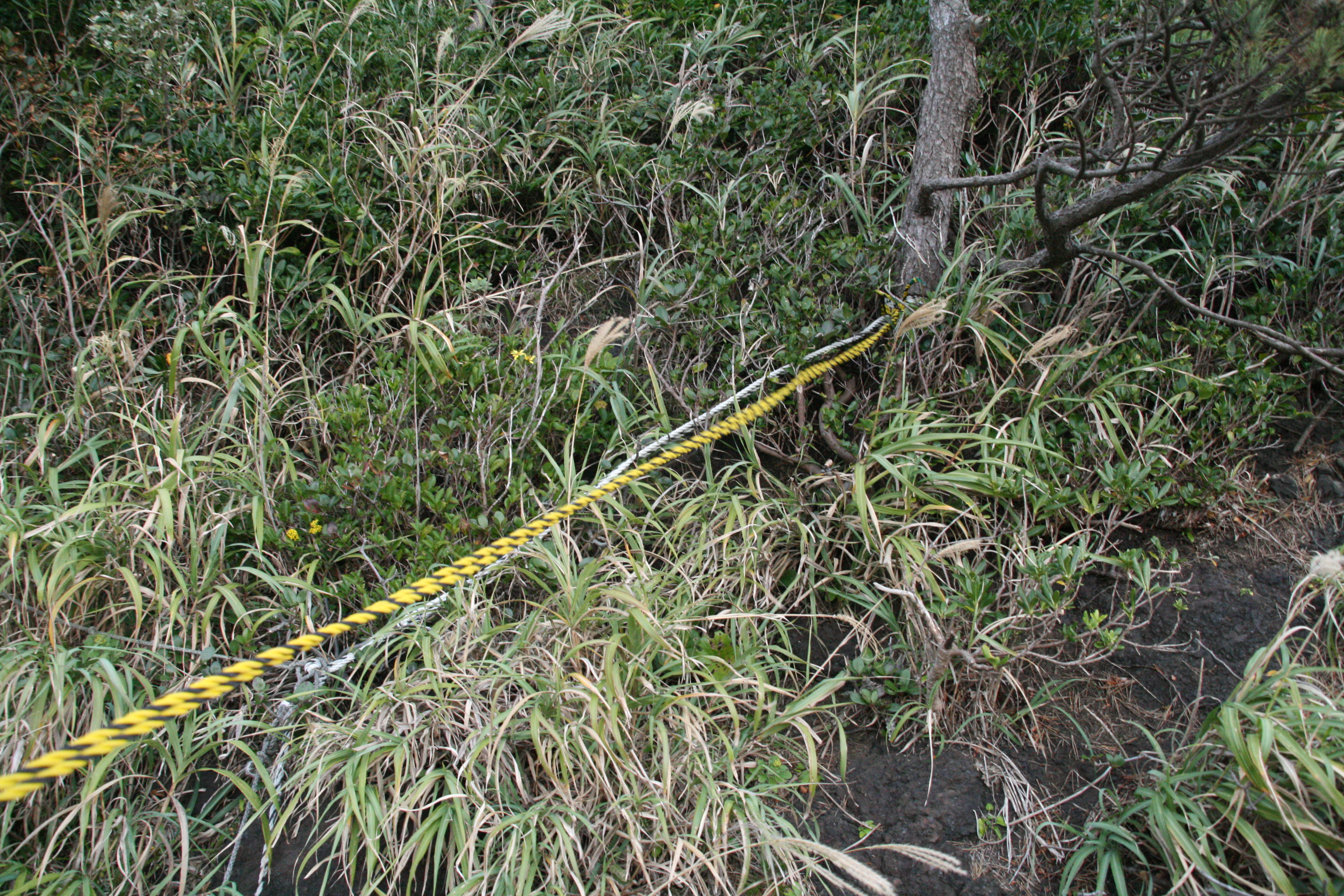 先人が仕掛けたロープ 先人が仕掛けたロープ