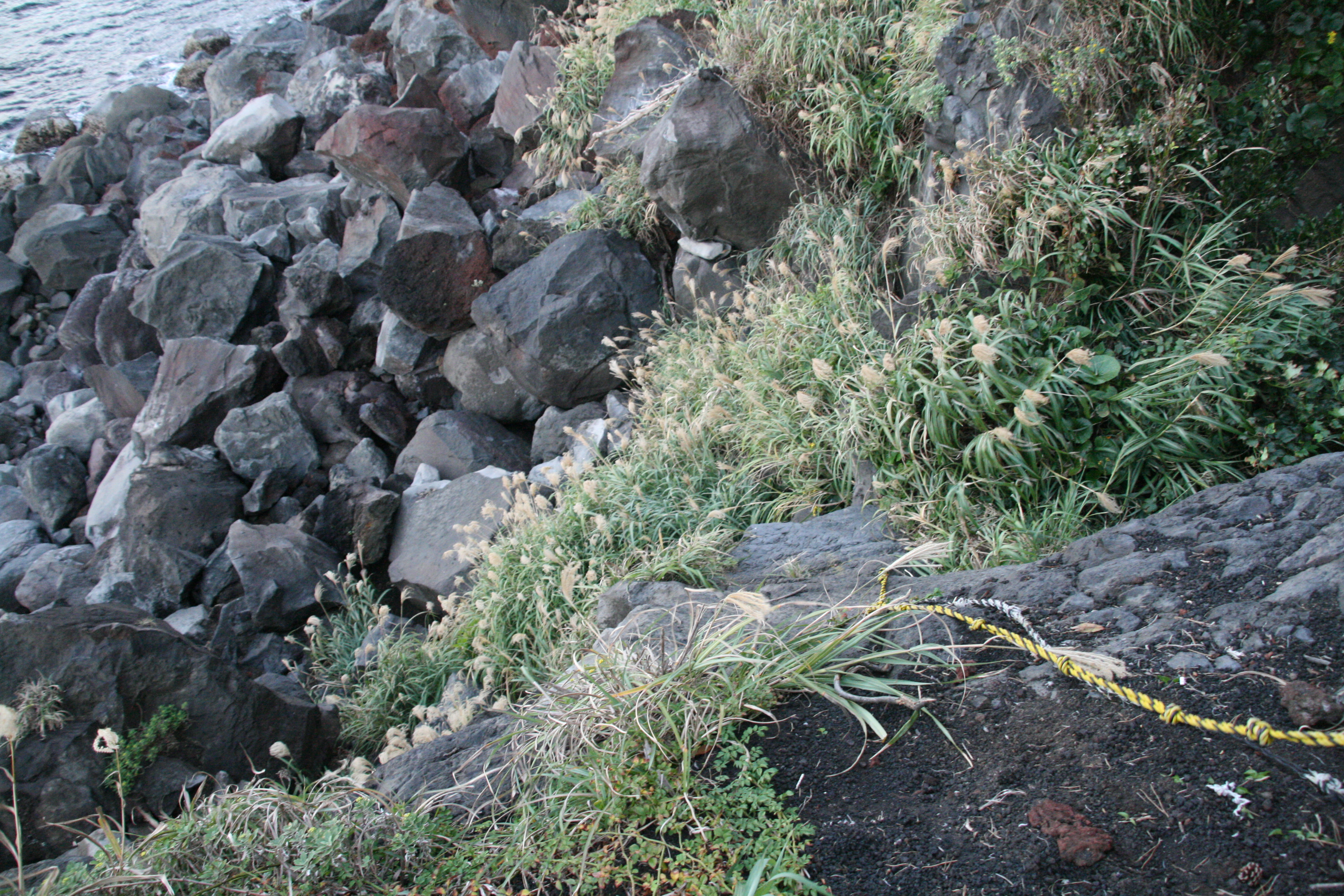 岩場へ降りた 岩場へ降りた