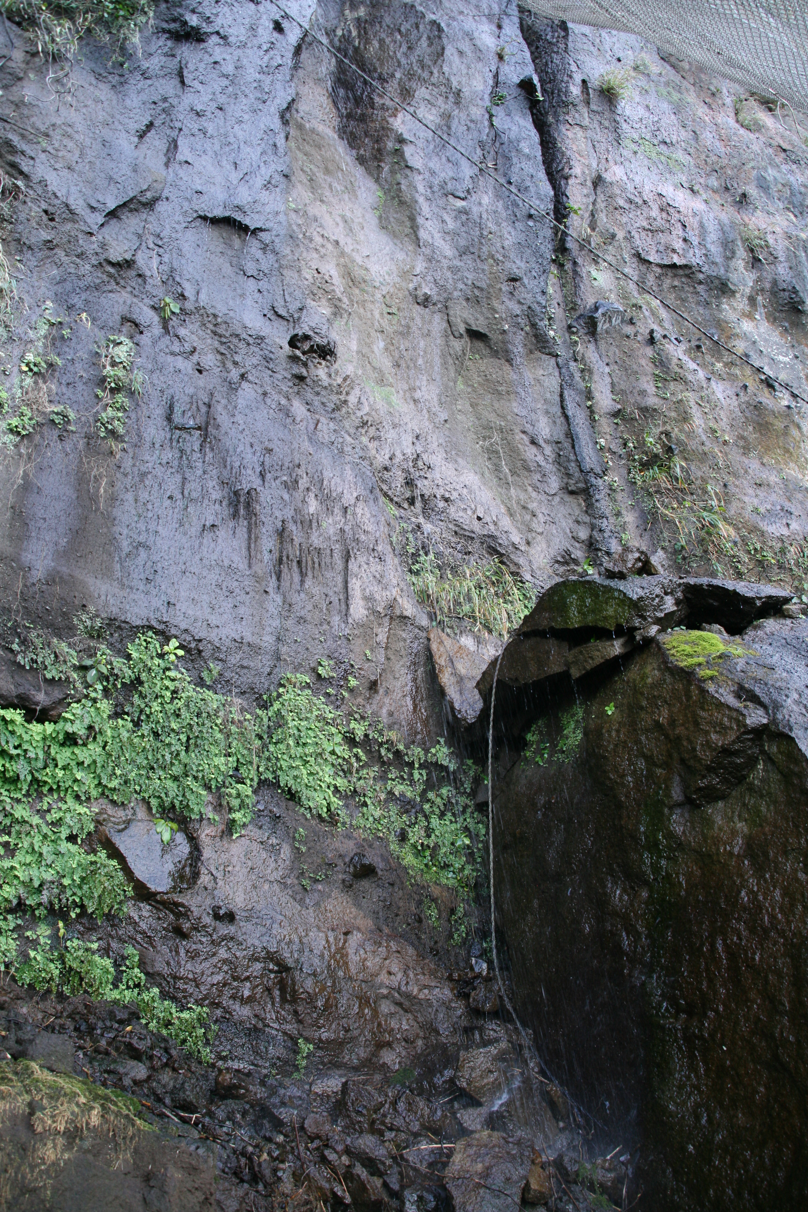 水が滴る 水が滴る