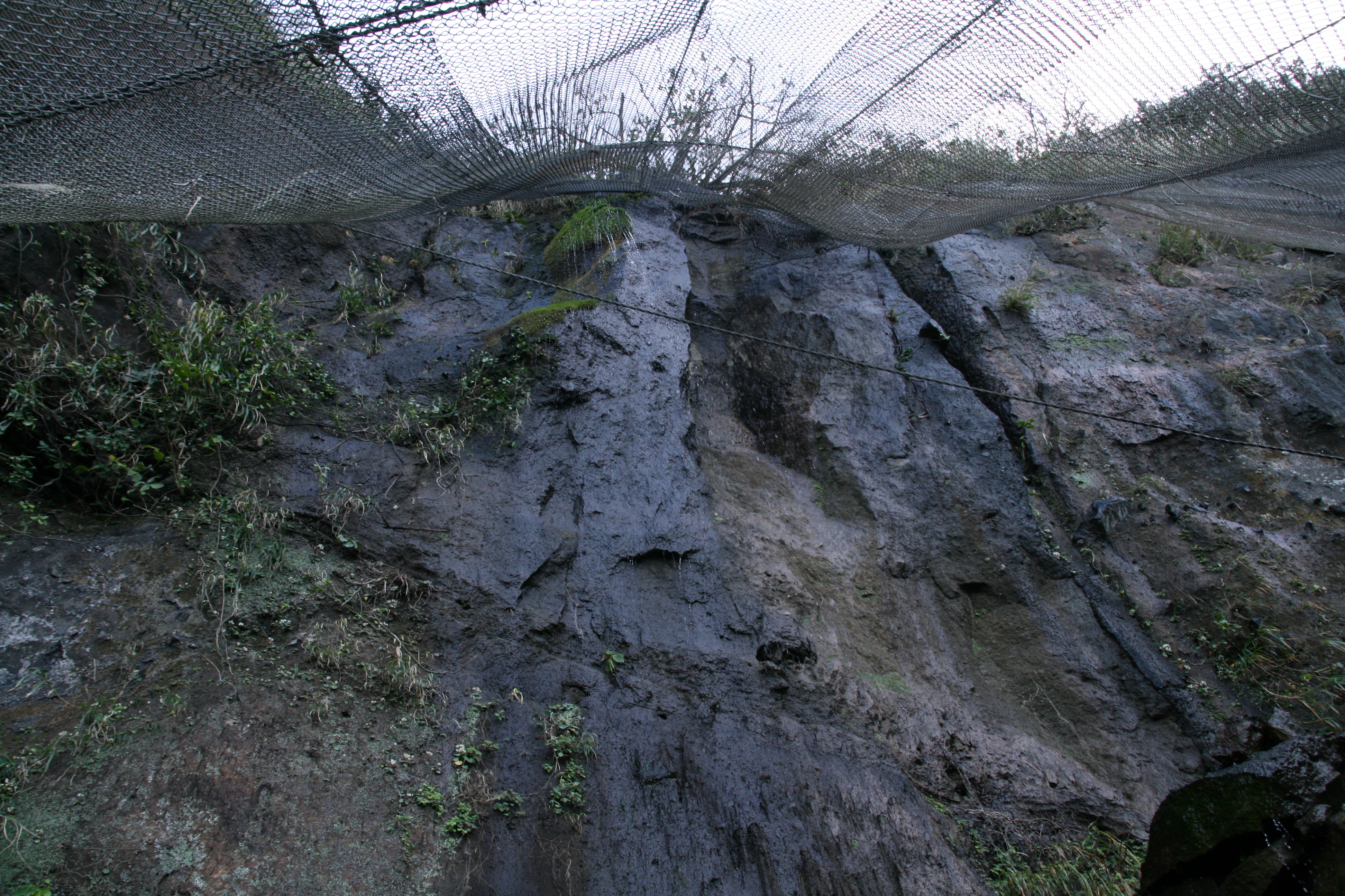 結構な水が落ちてくる 結構な水が落ちてくる