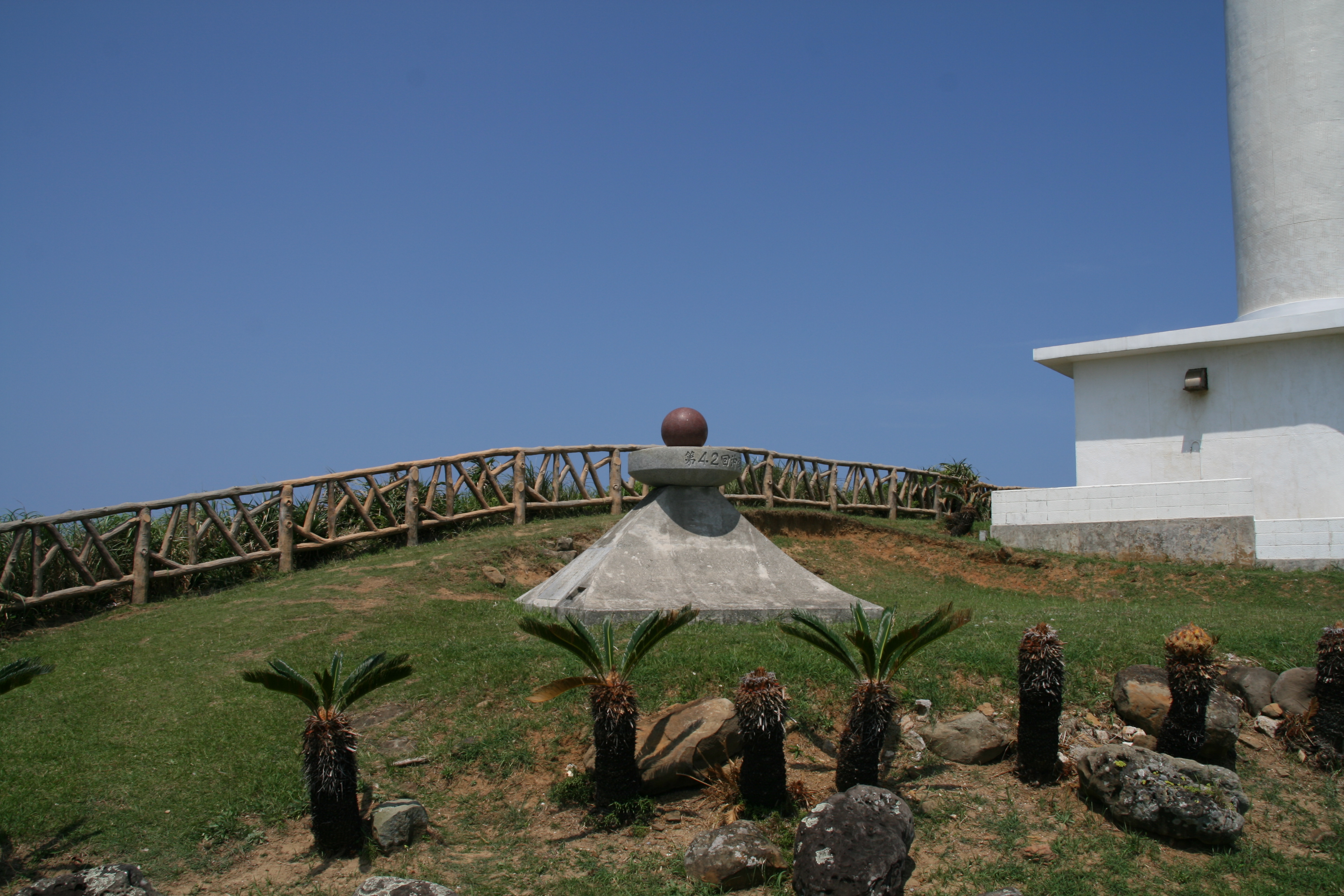 パイナップルの苗