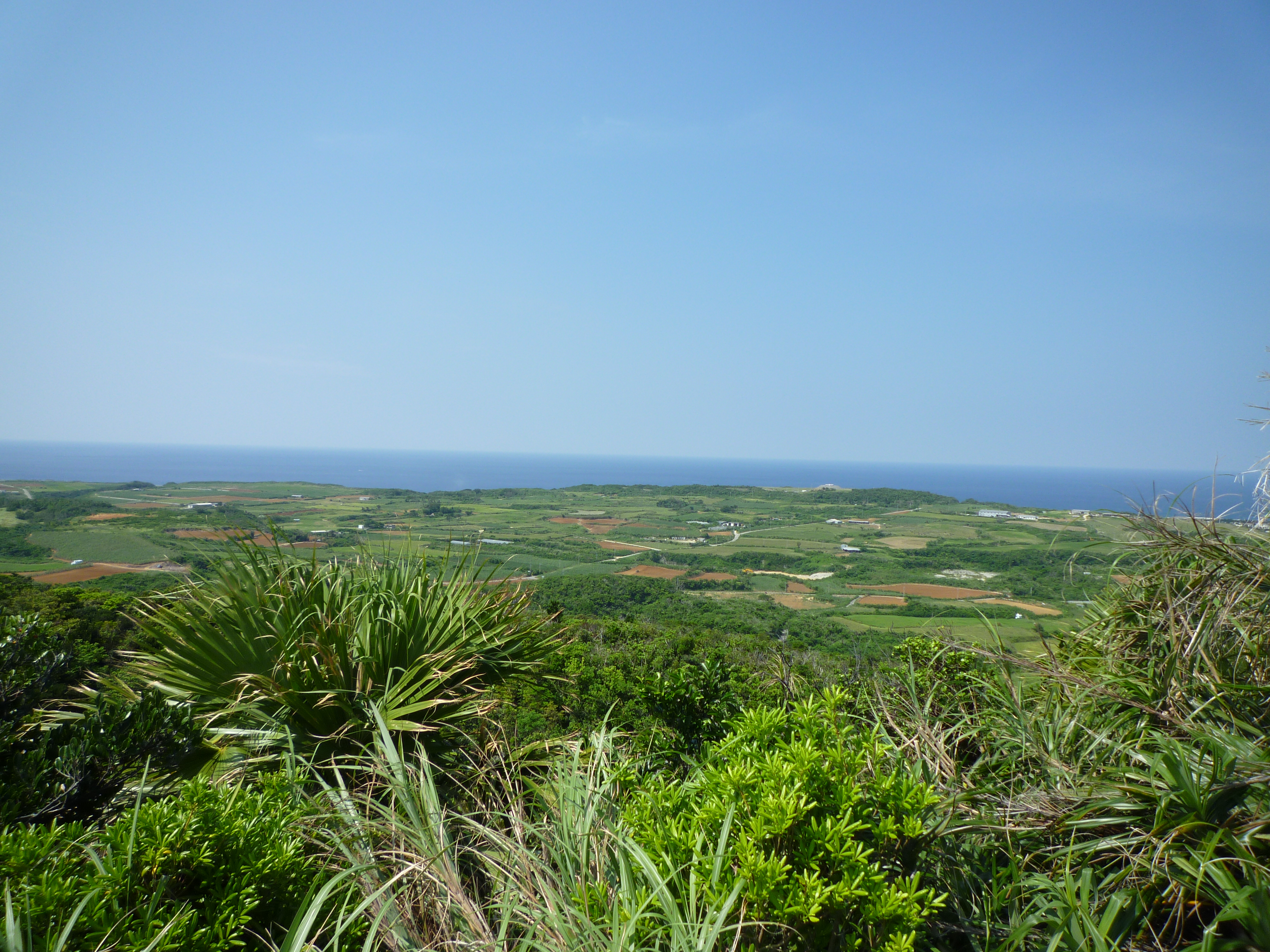 高台から見た与那国島