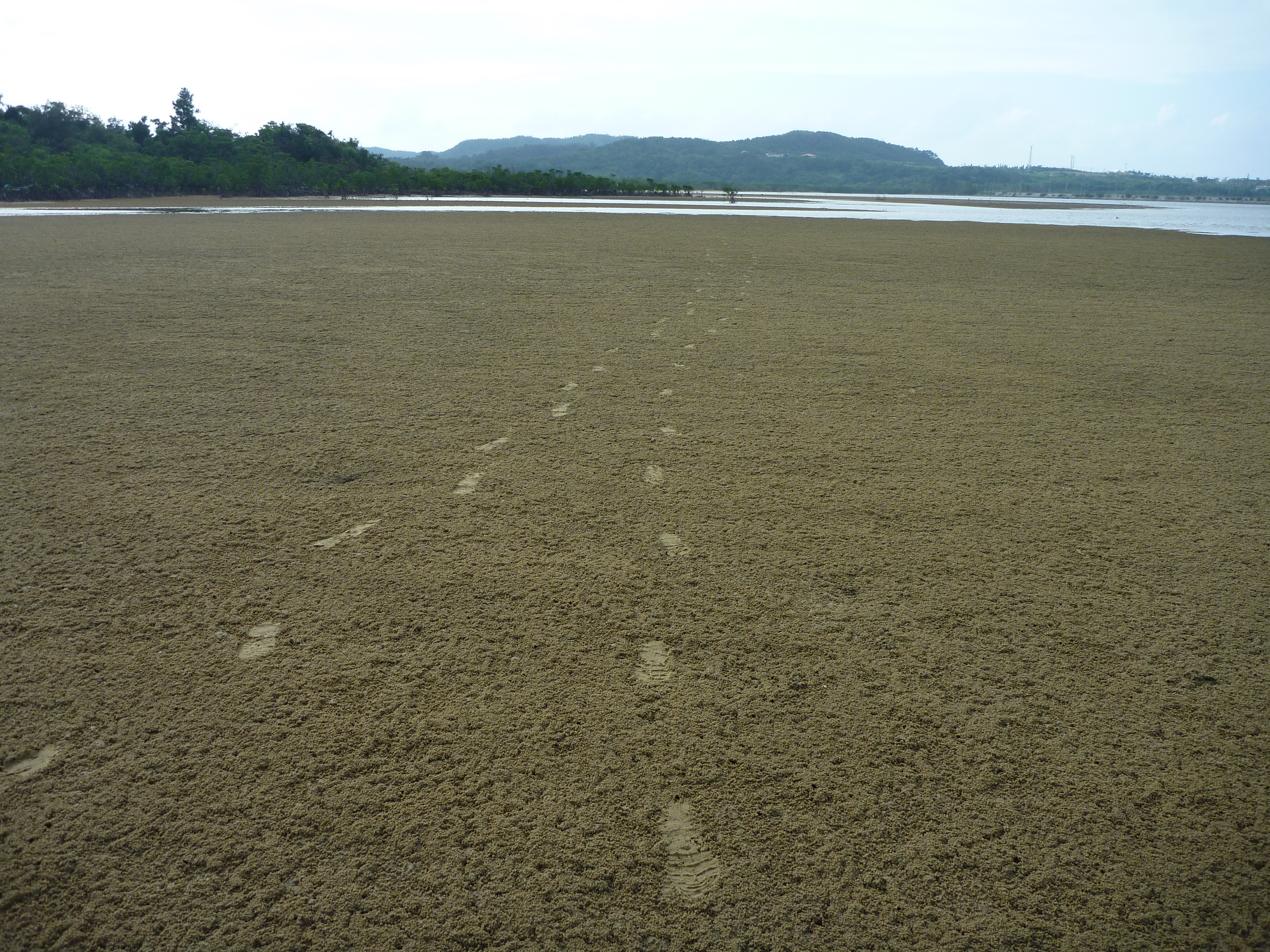 海岸の足跡