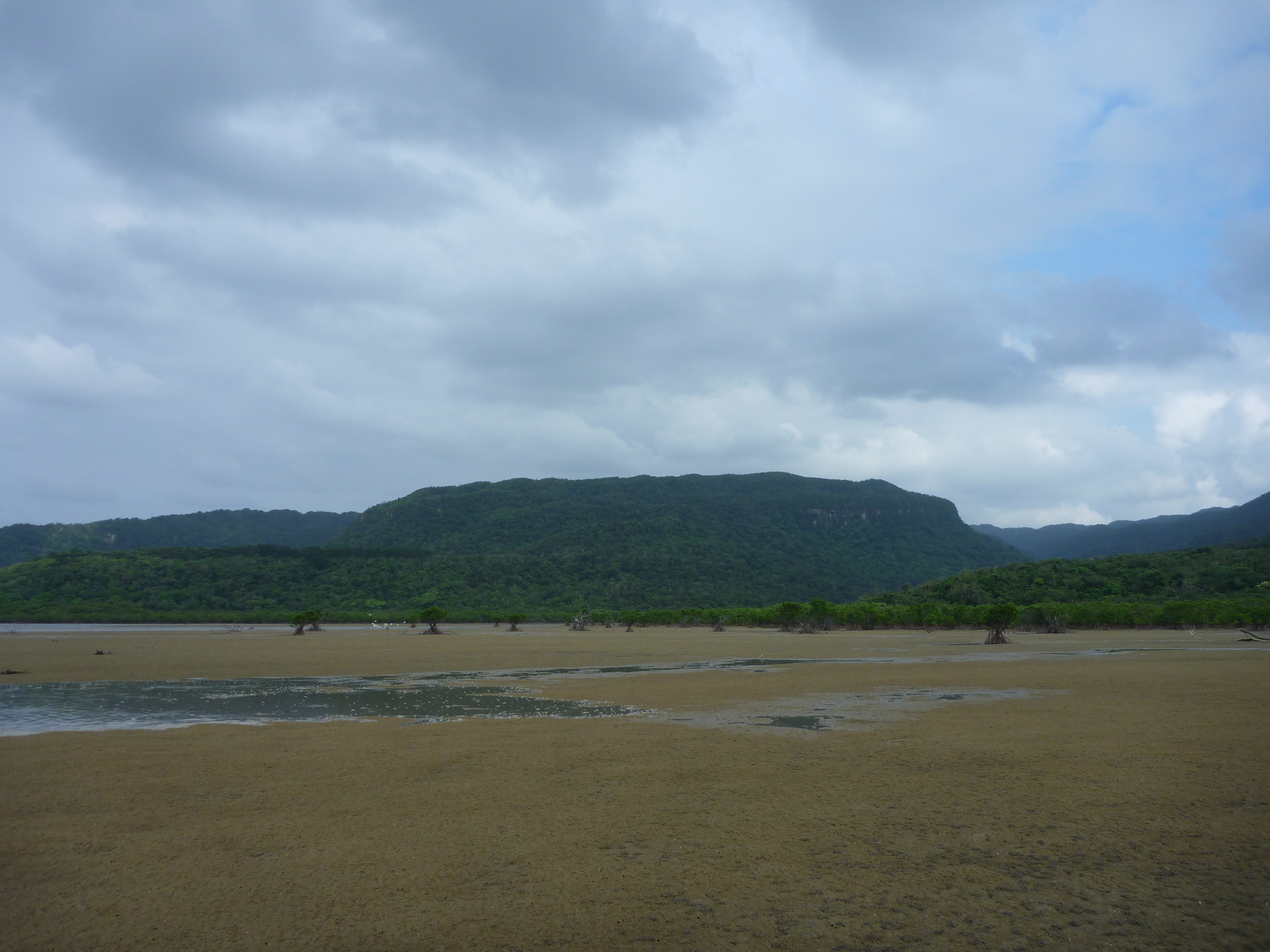 潮が満ちてくる