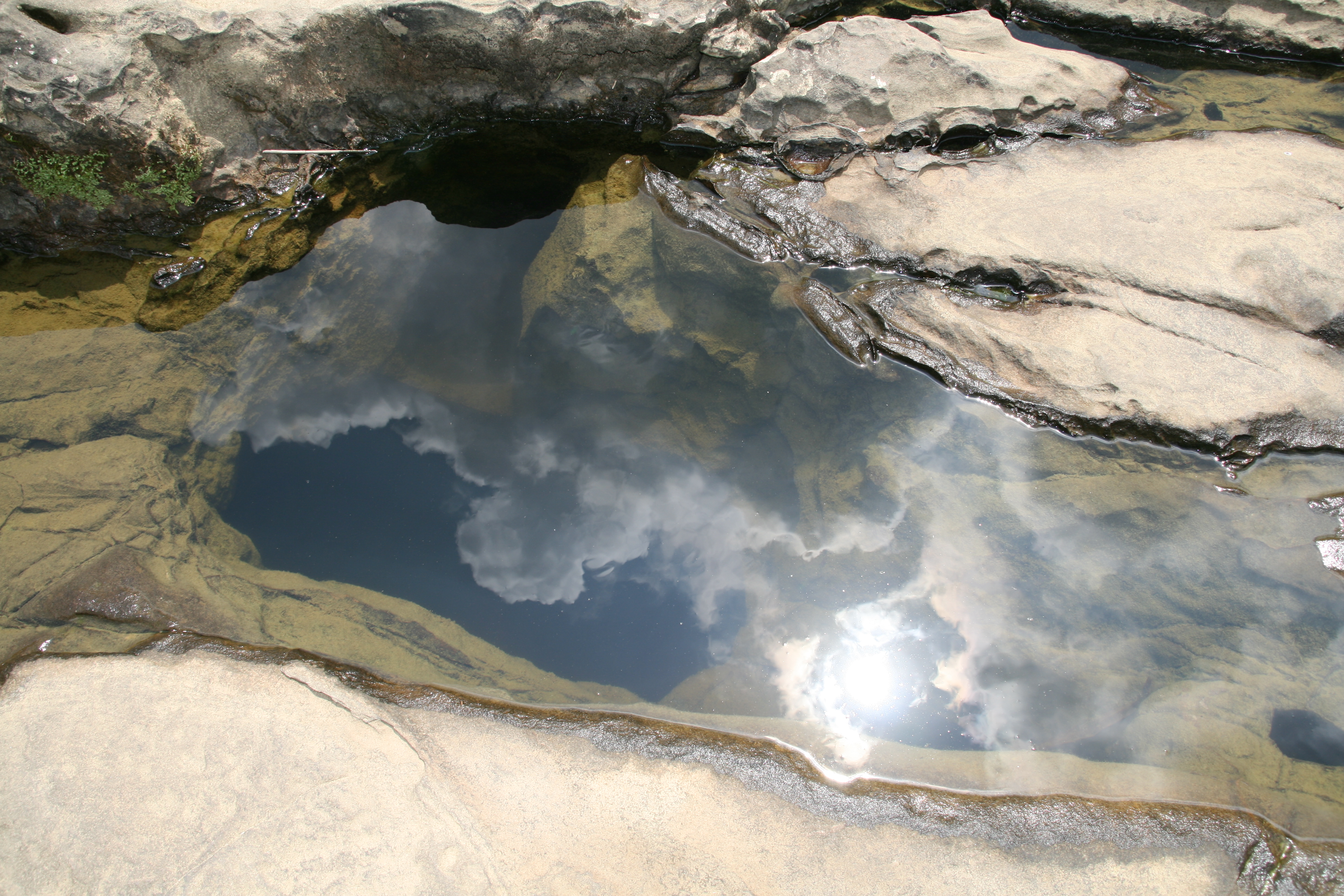 水たまりに光る太陽と雲