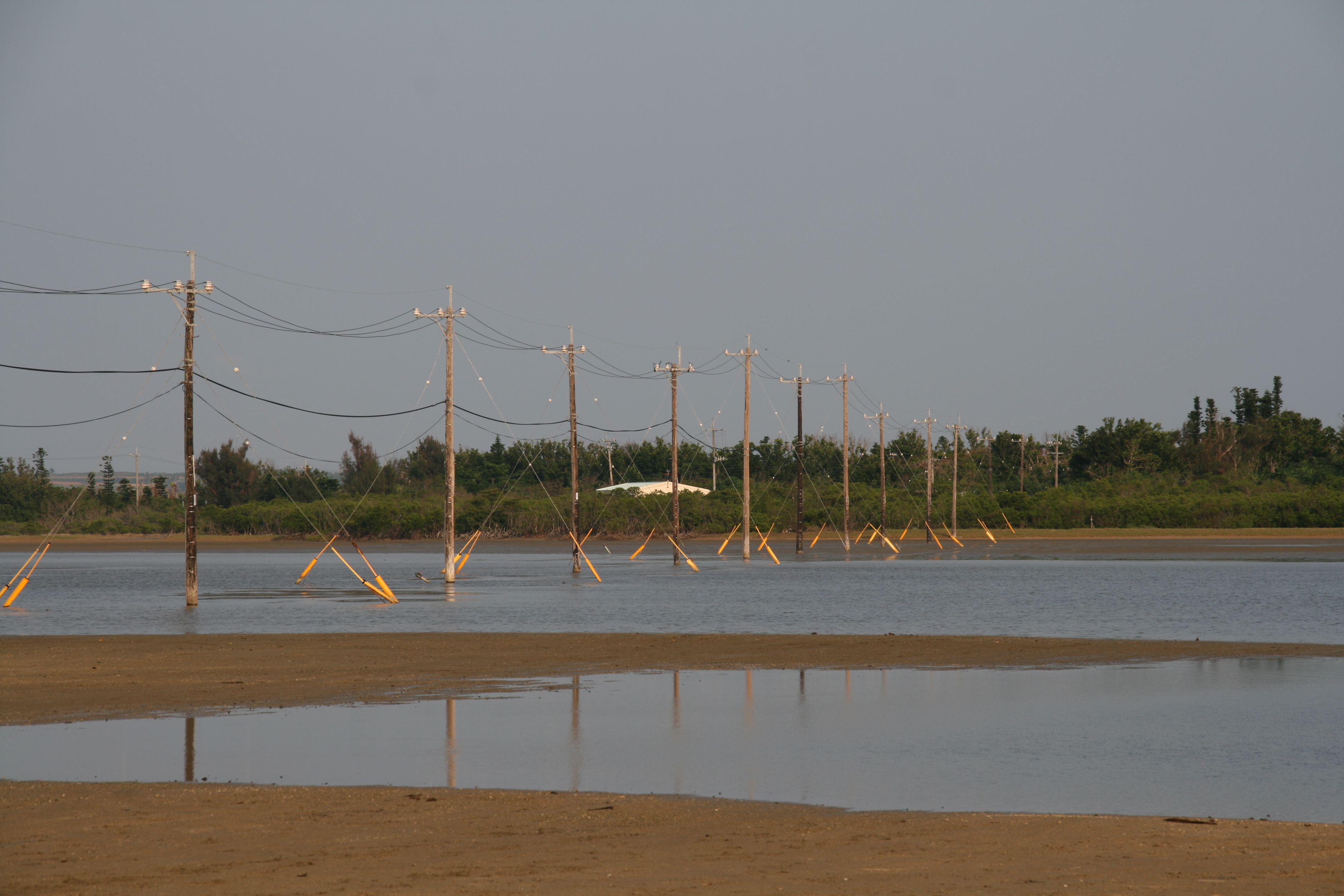 油布島に繋がる電信柱