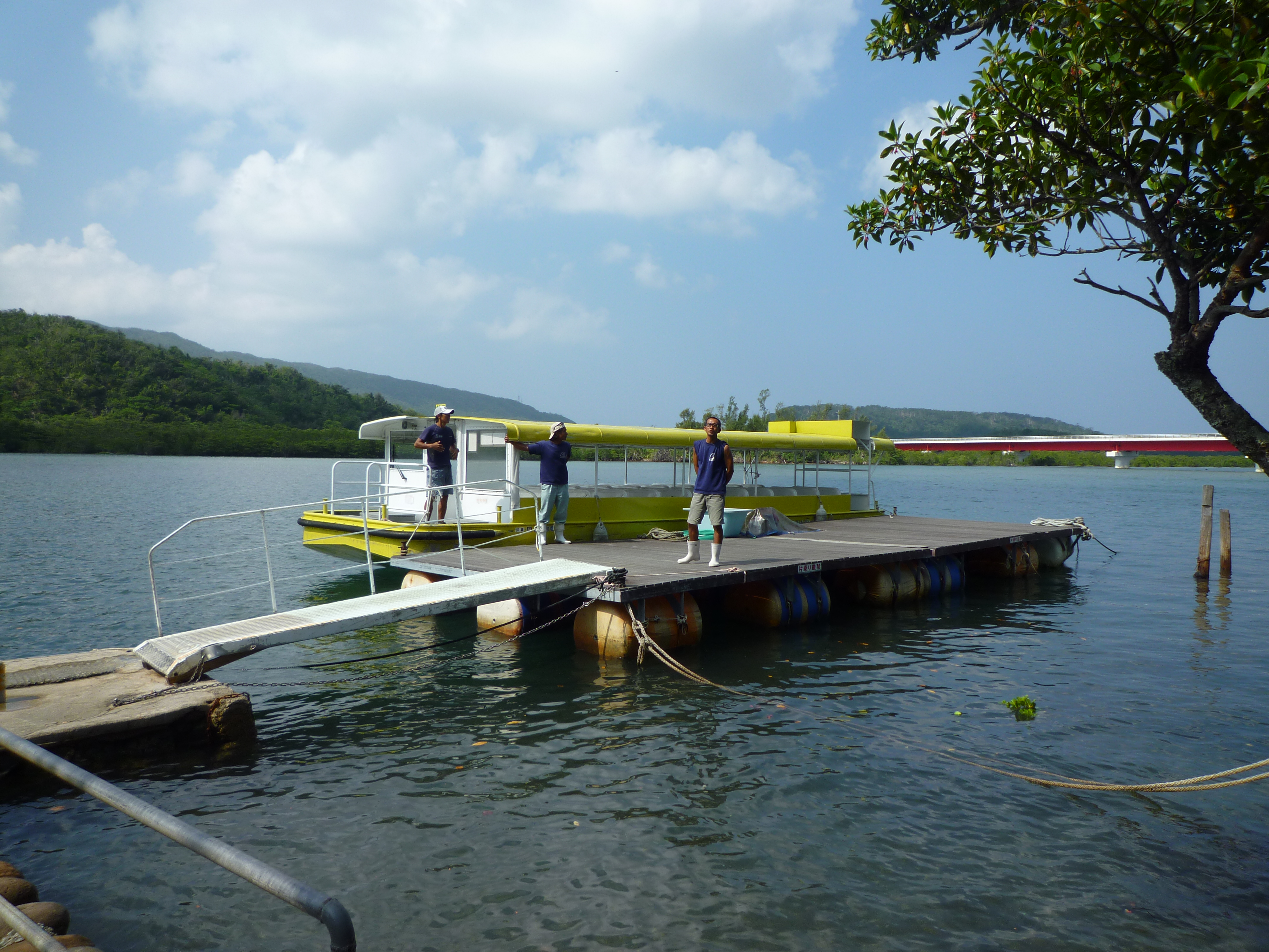 マングローブ林のツアー