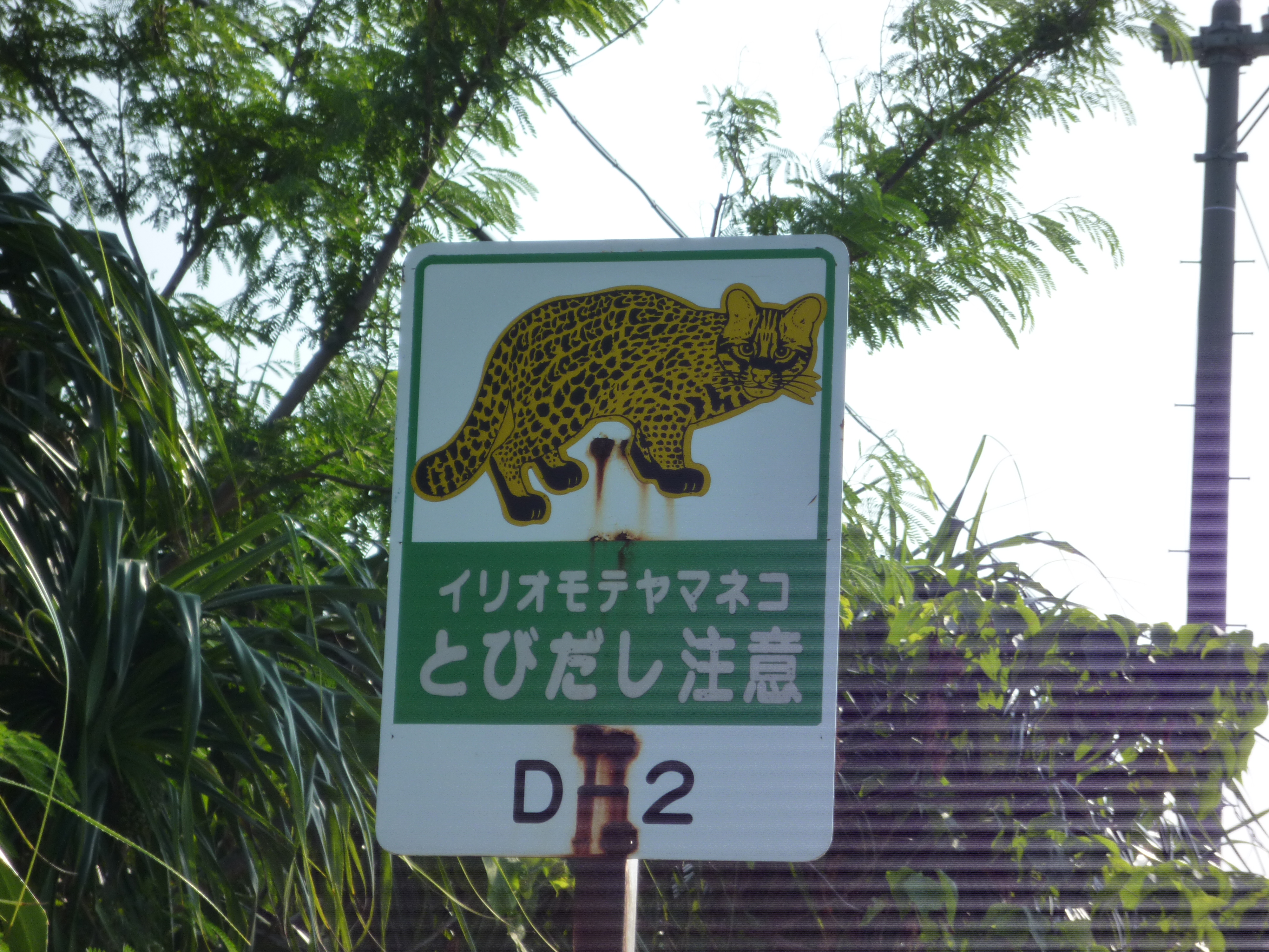 イリオモテヤマネコとびだし注意の道路標識の看板