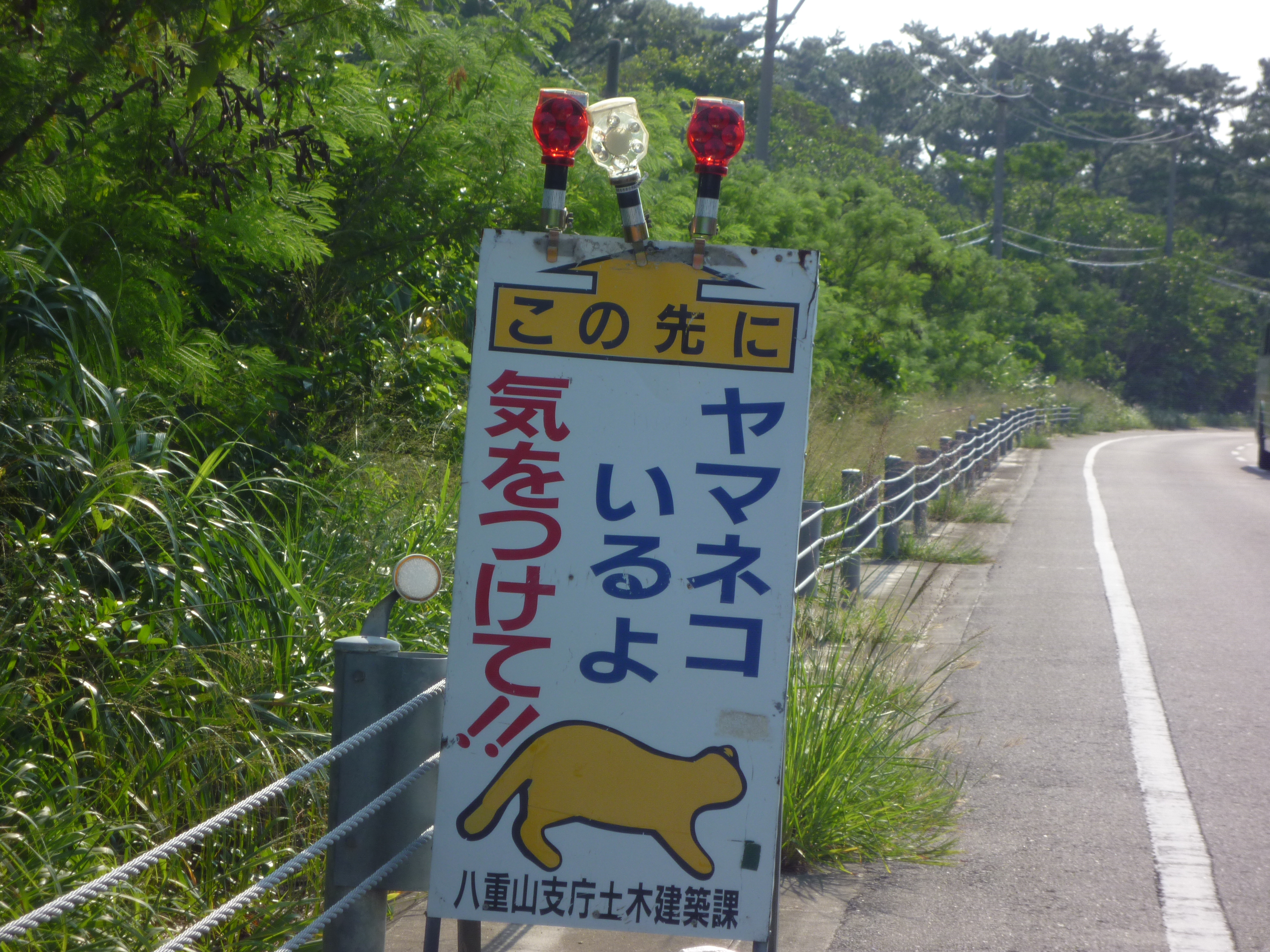 ヤマネコいるよの道路標識