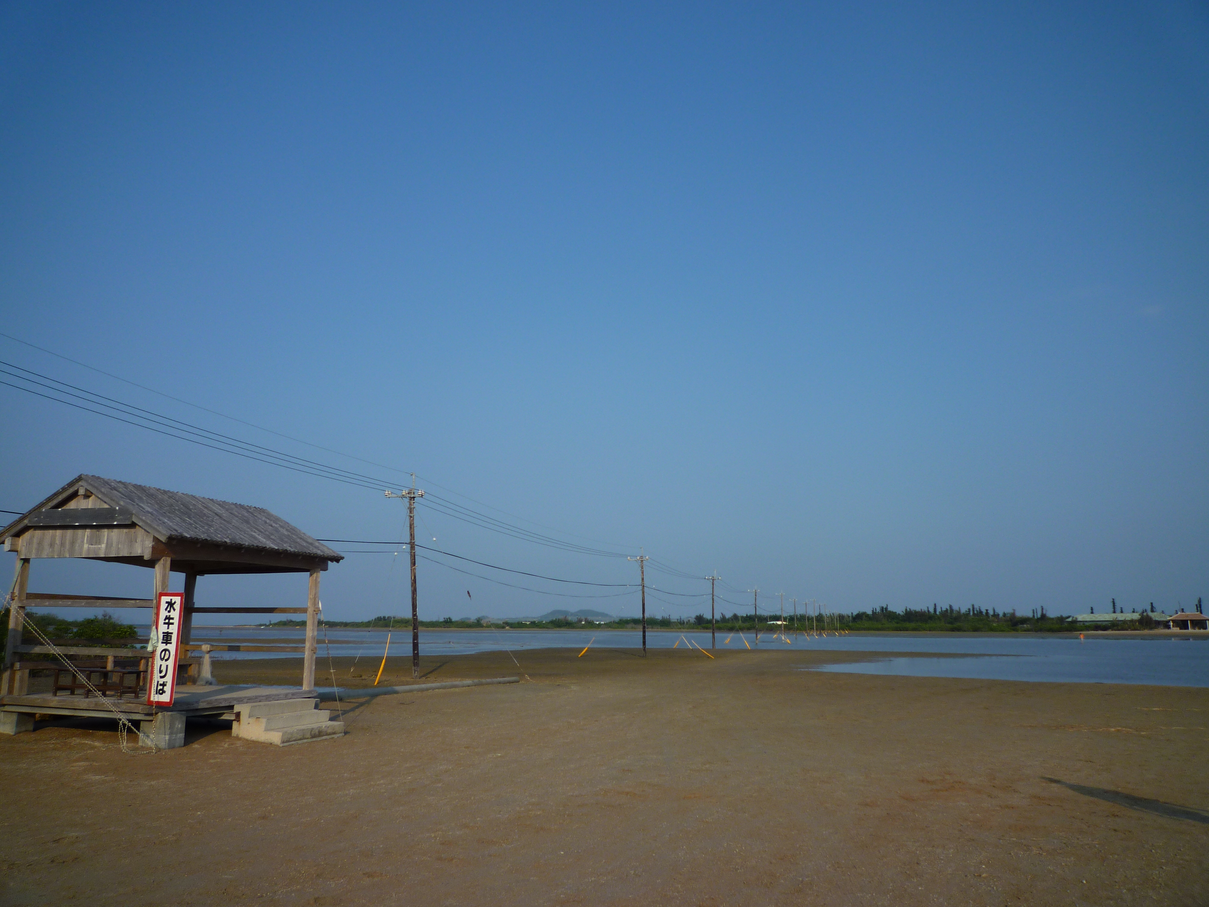 油布島まで、電柱でつながっている