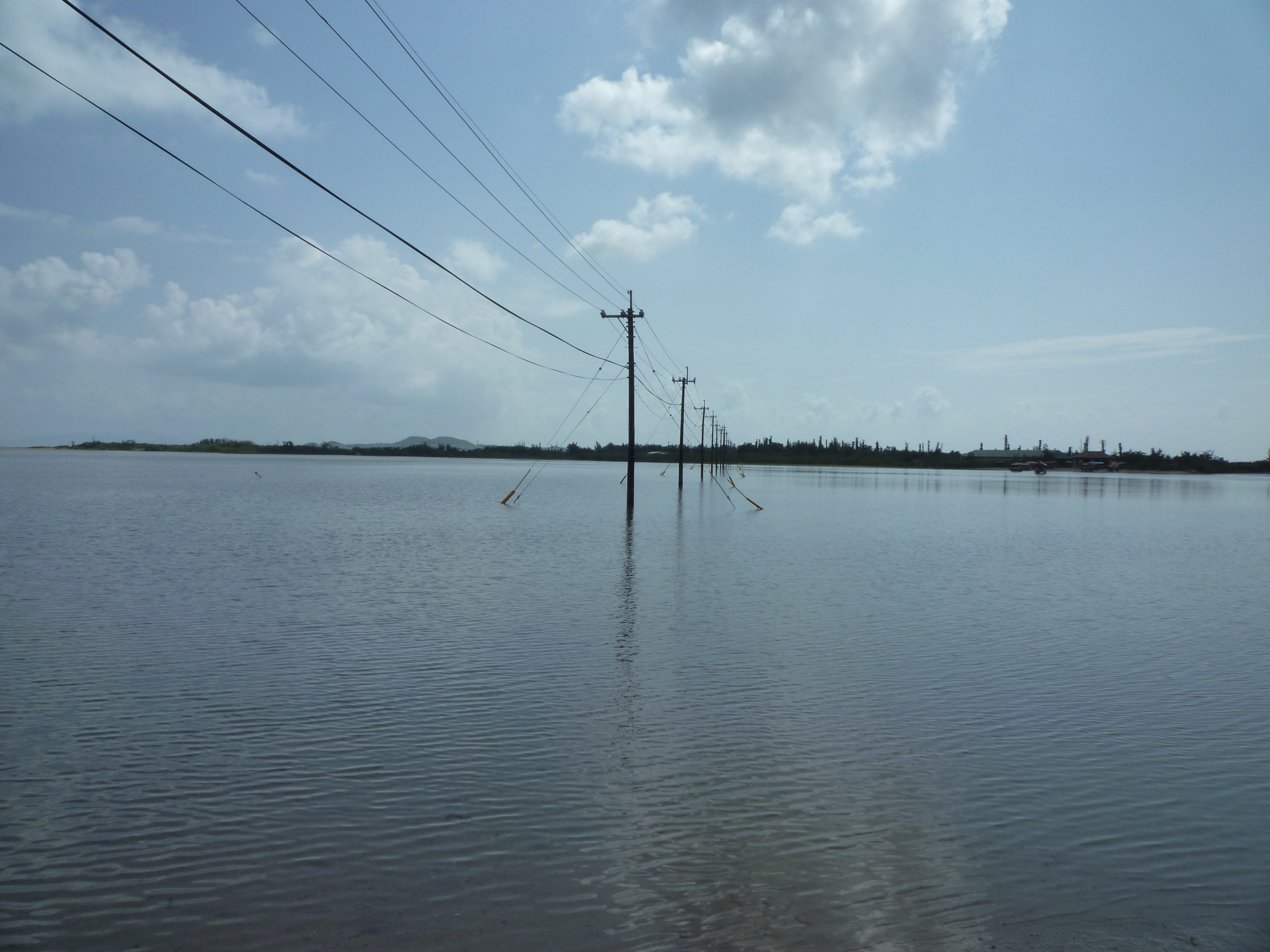 満潮で電柱しか見えない
