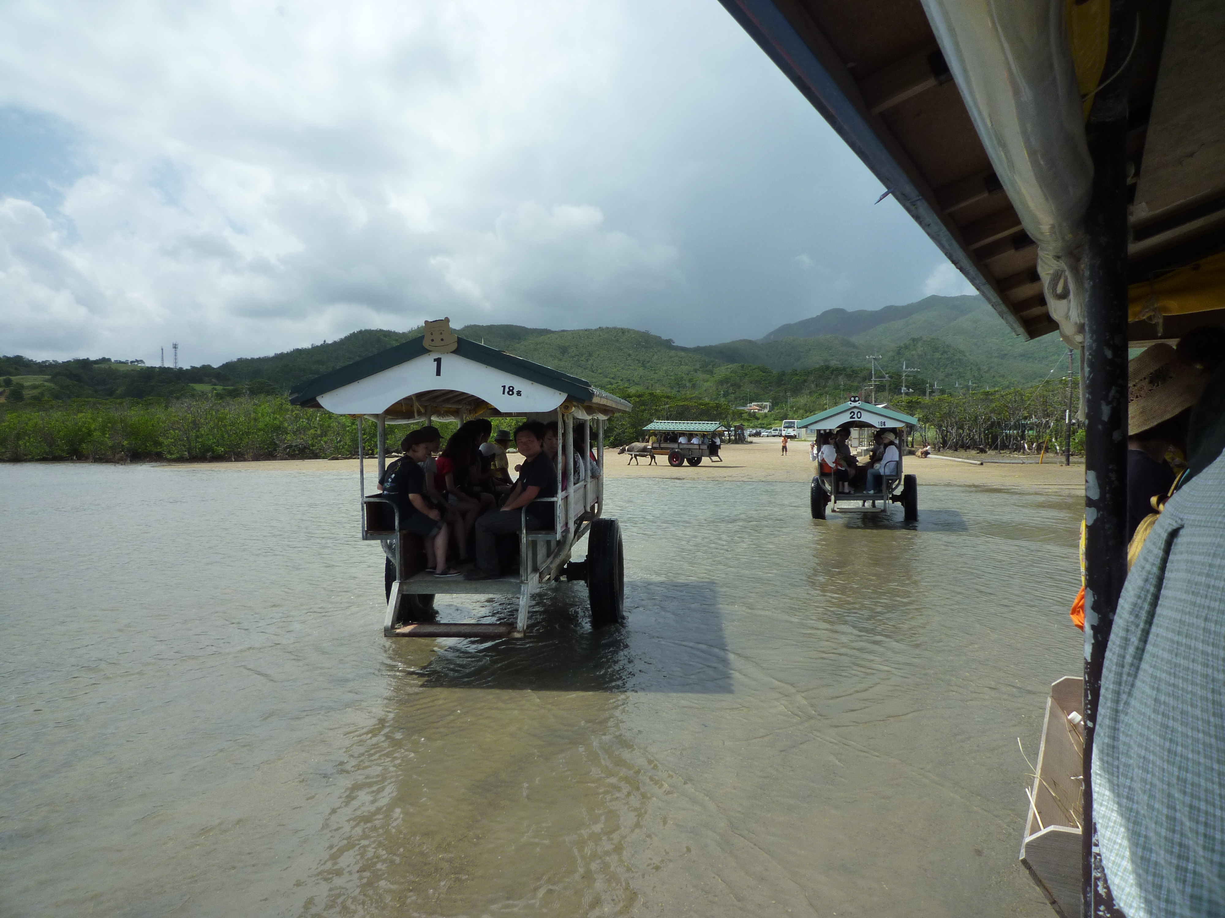 水牛車が列をなして進む