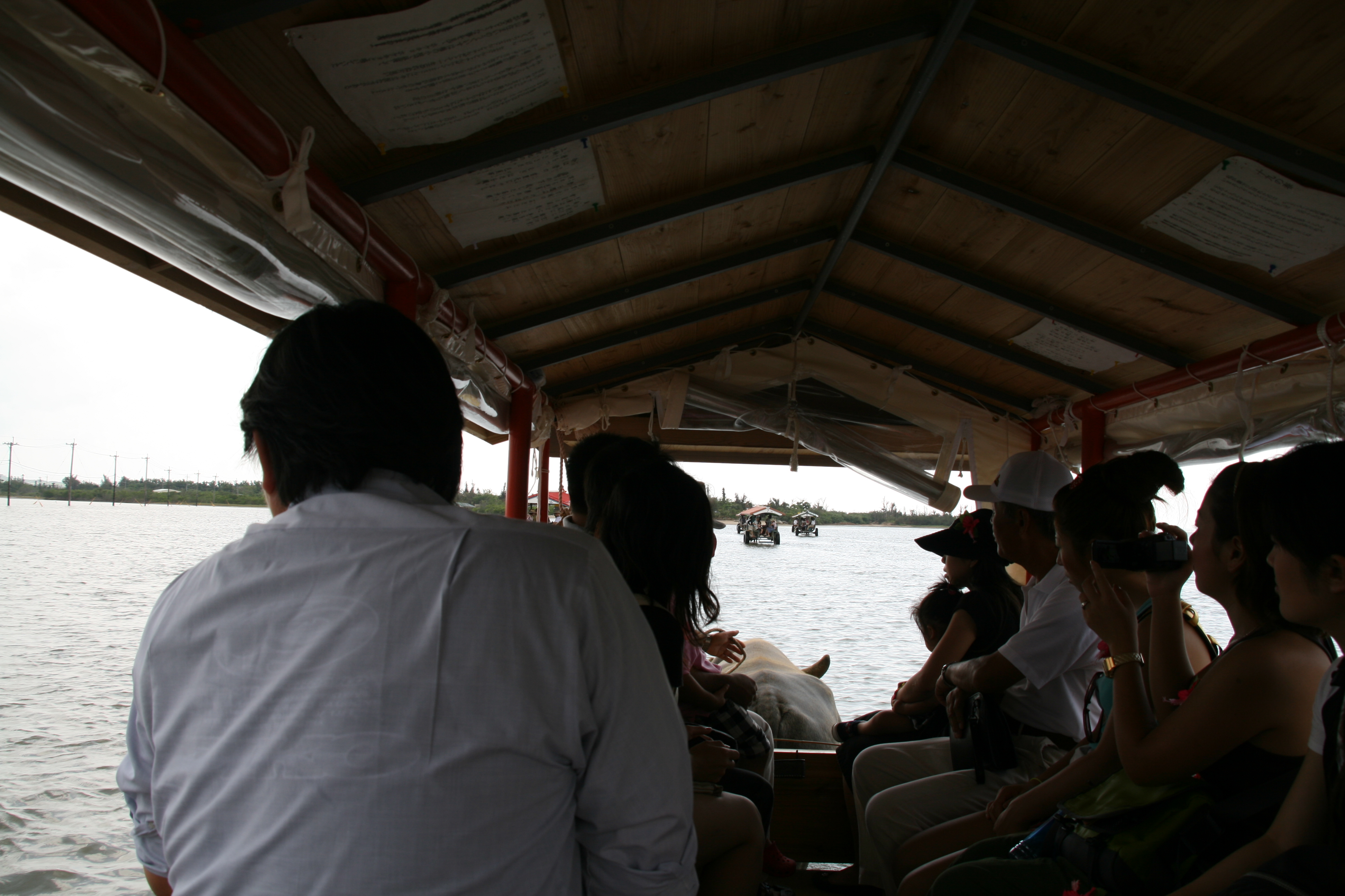 水牛車の中は混雑している