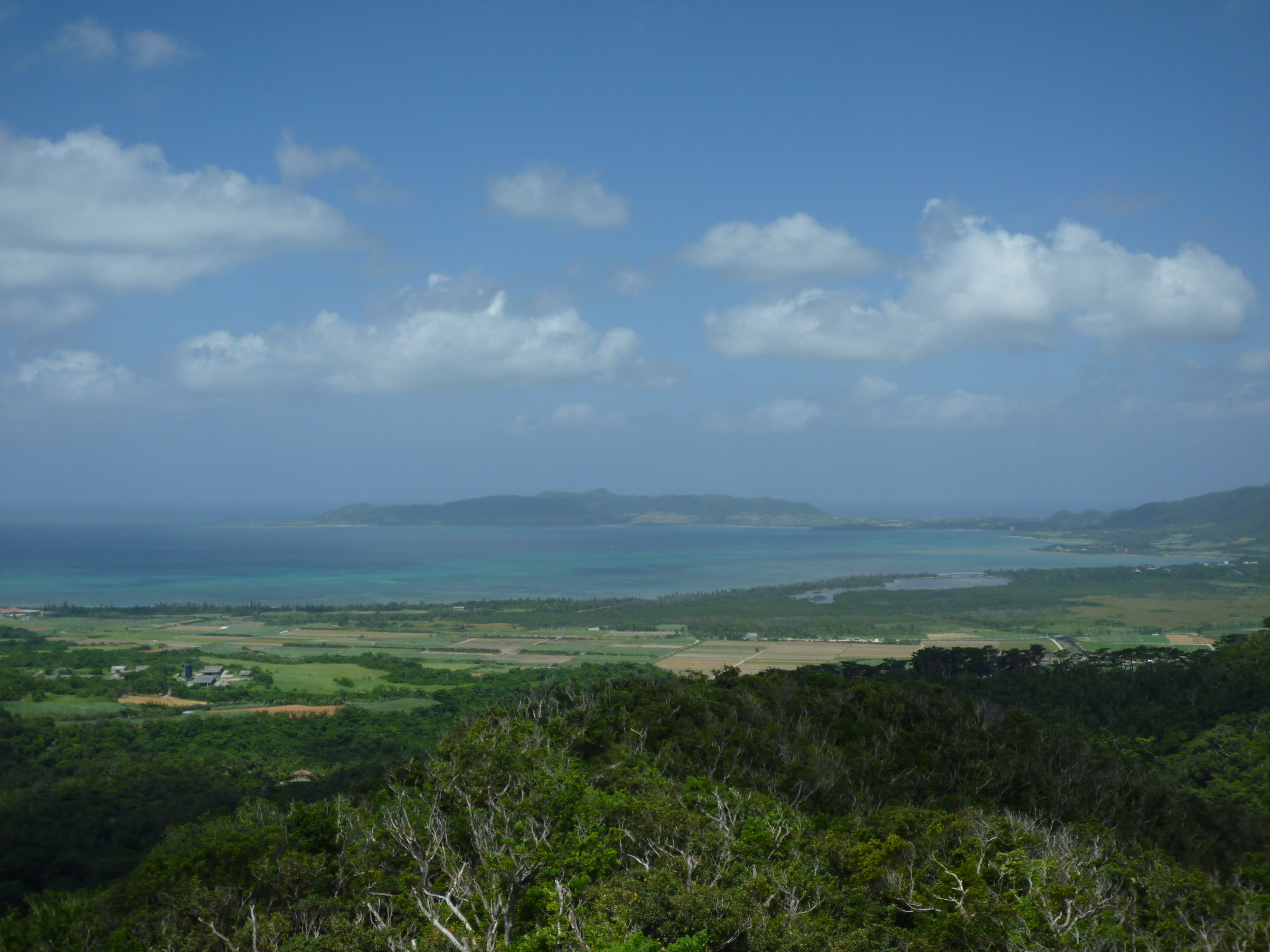 高台から見た石垣島