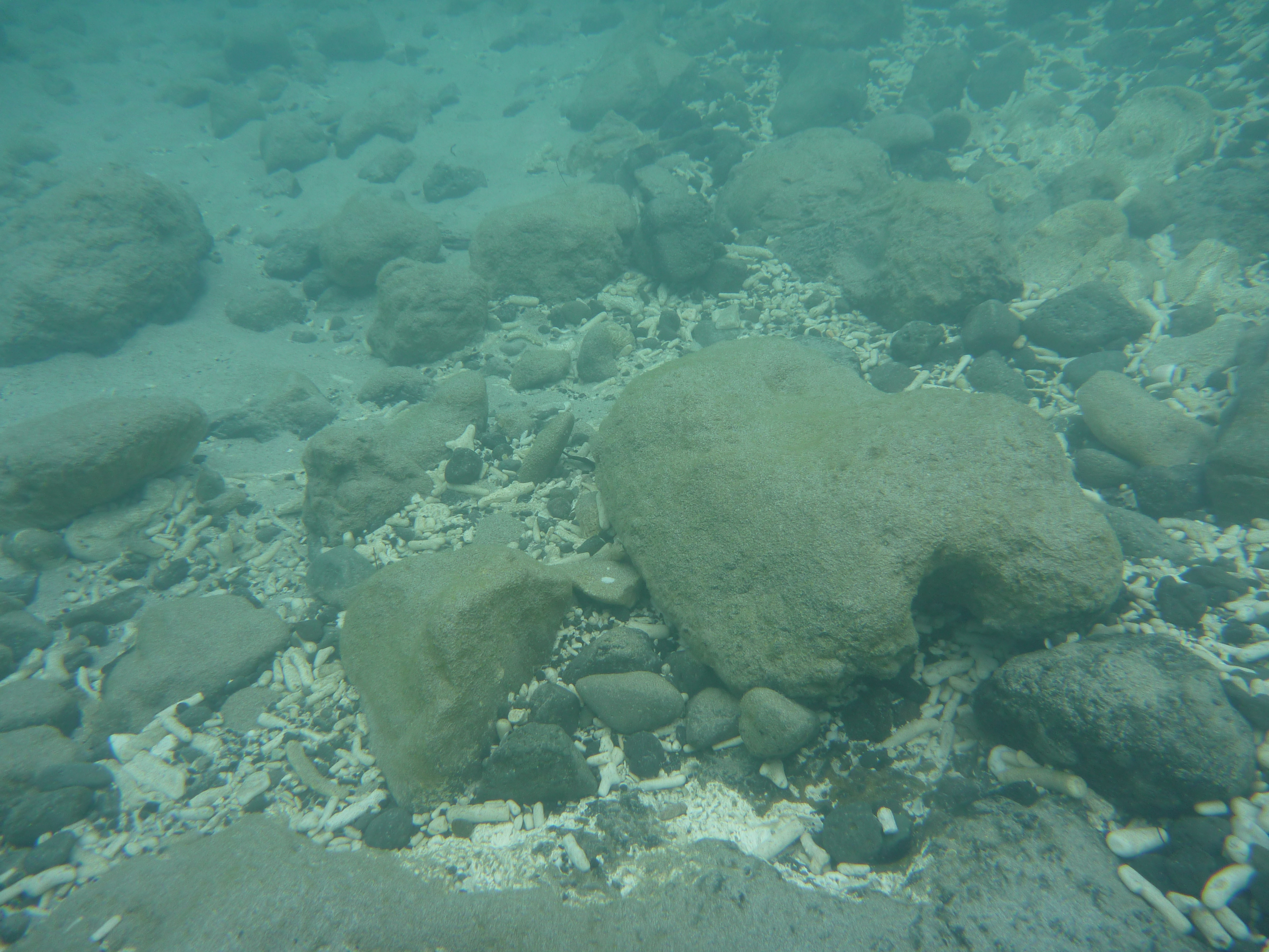 浅瀬の海底