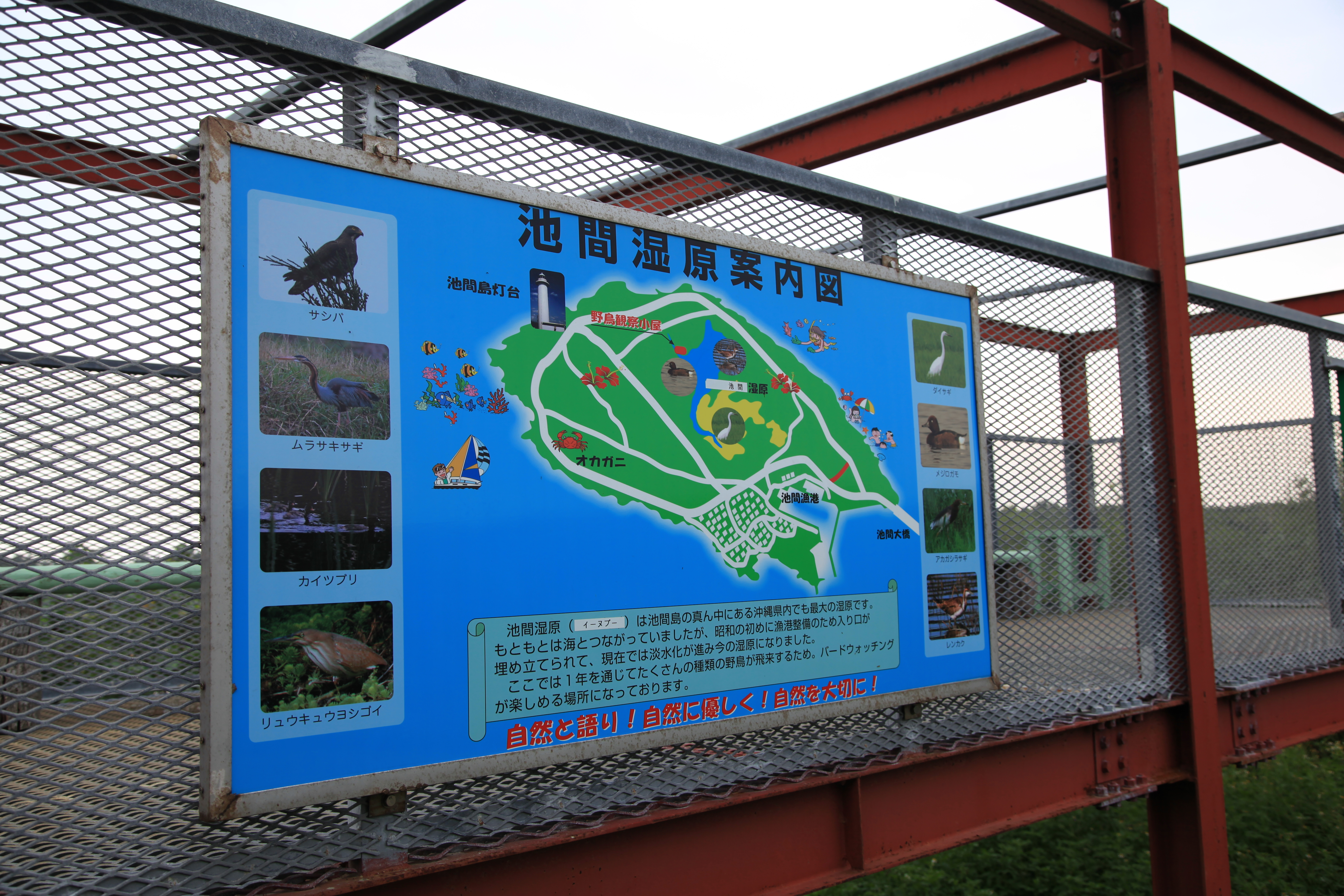 池間湿原案内図