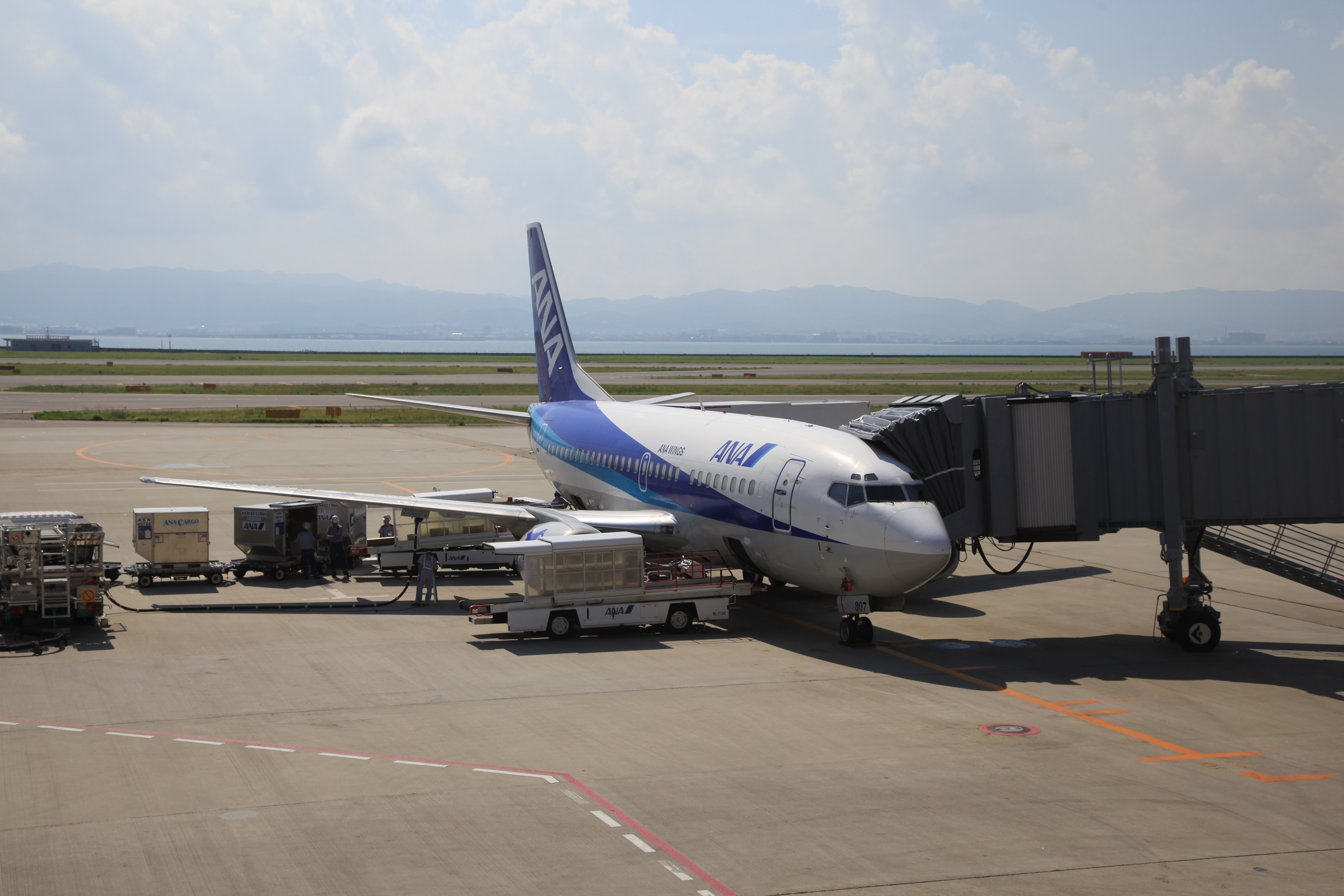 搭乗する飛行機