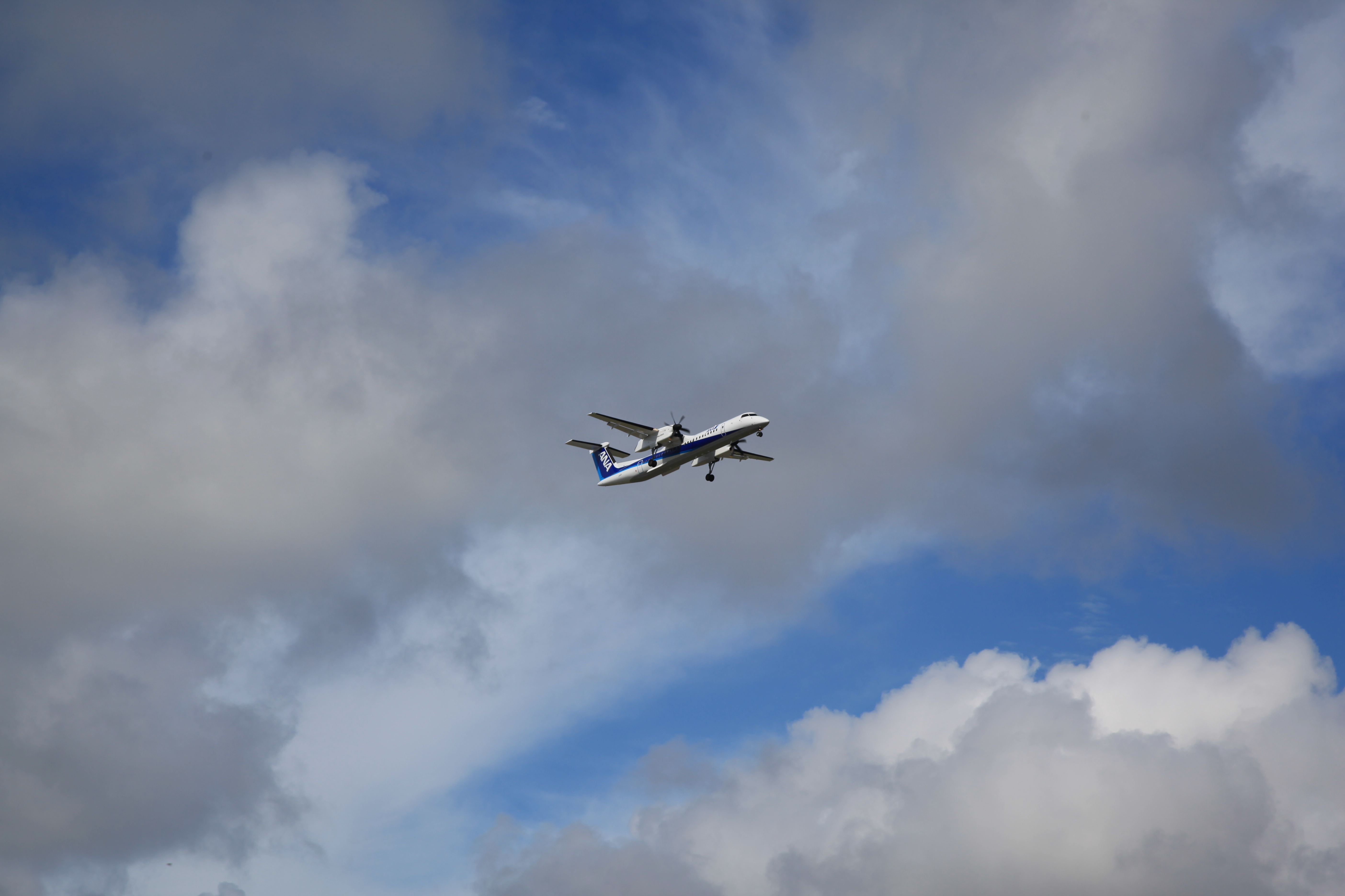 ANAのプロペラ練習機